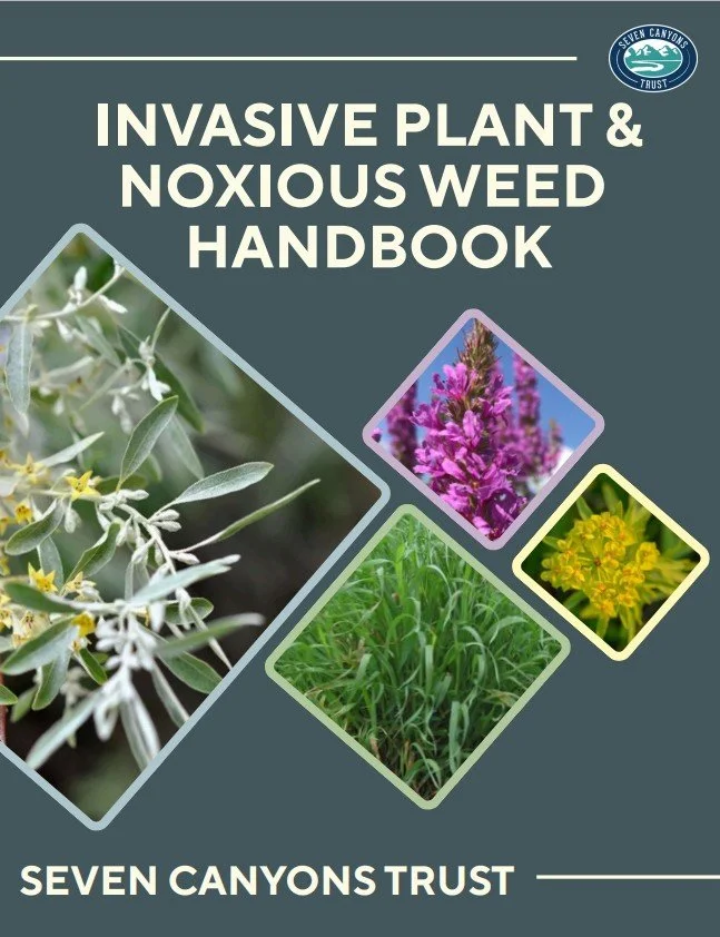 INVASIVE PLANT &amp; NOXIOUS WEED  HANDBOOK