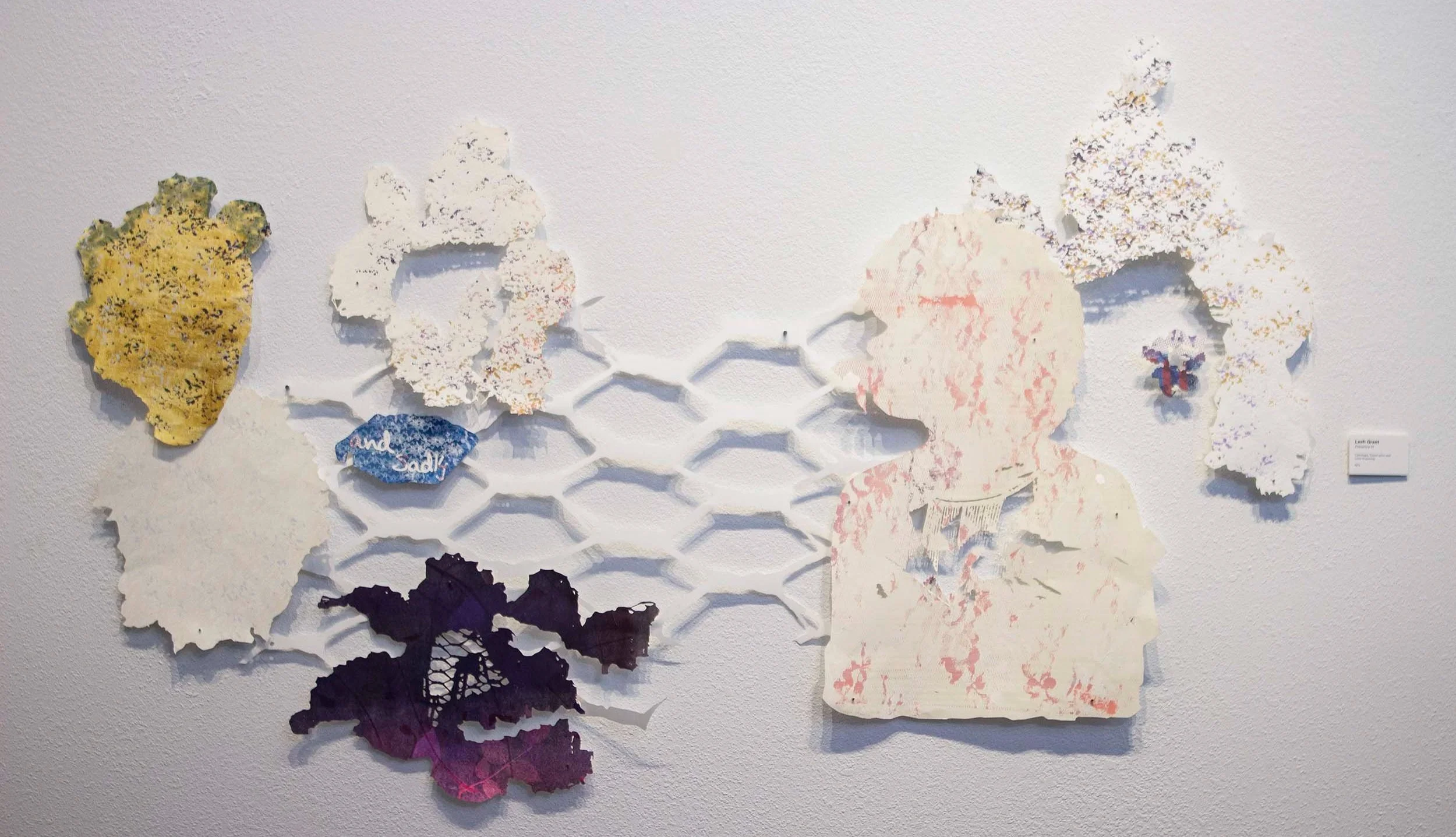 Arts & Science Center — Leah Grant's 'Becoming Once More' Explores Self- Reflection, Identity