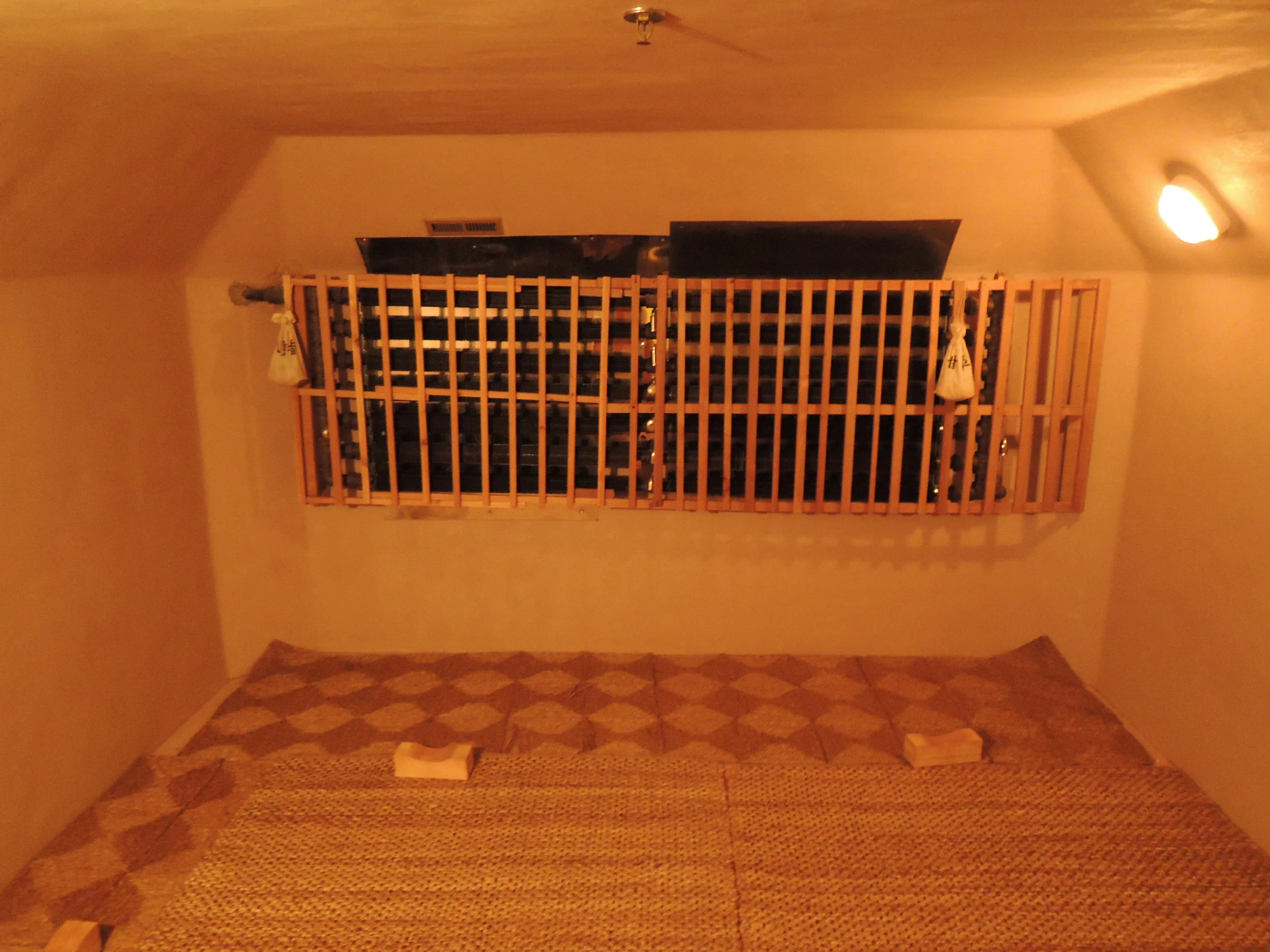 DSCN0754.JPG