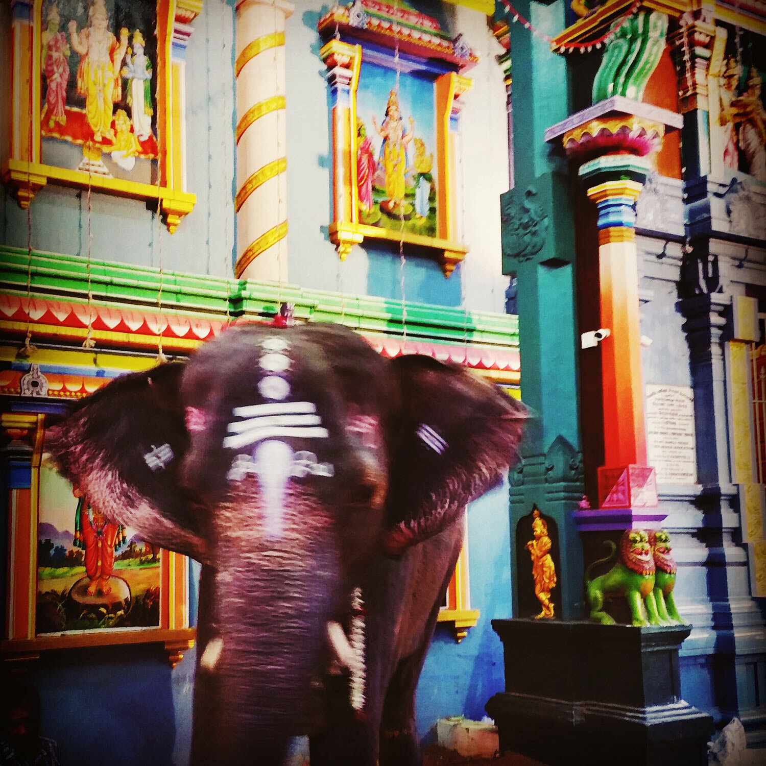 elephant-deities-india.jpg