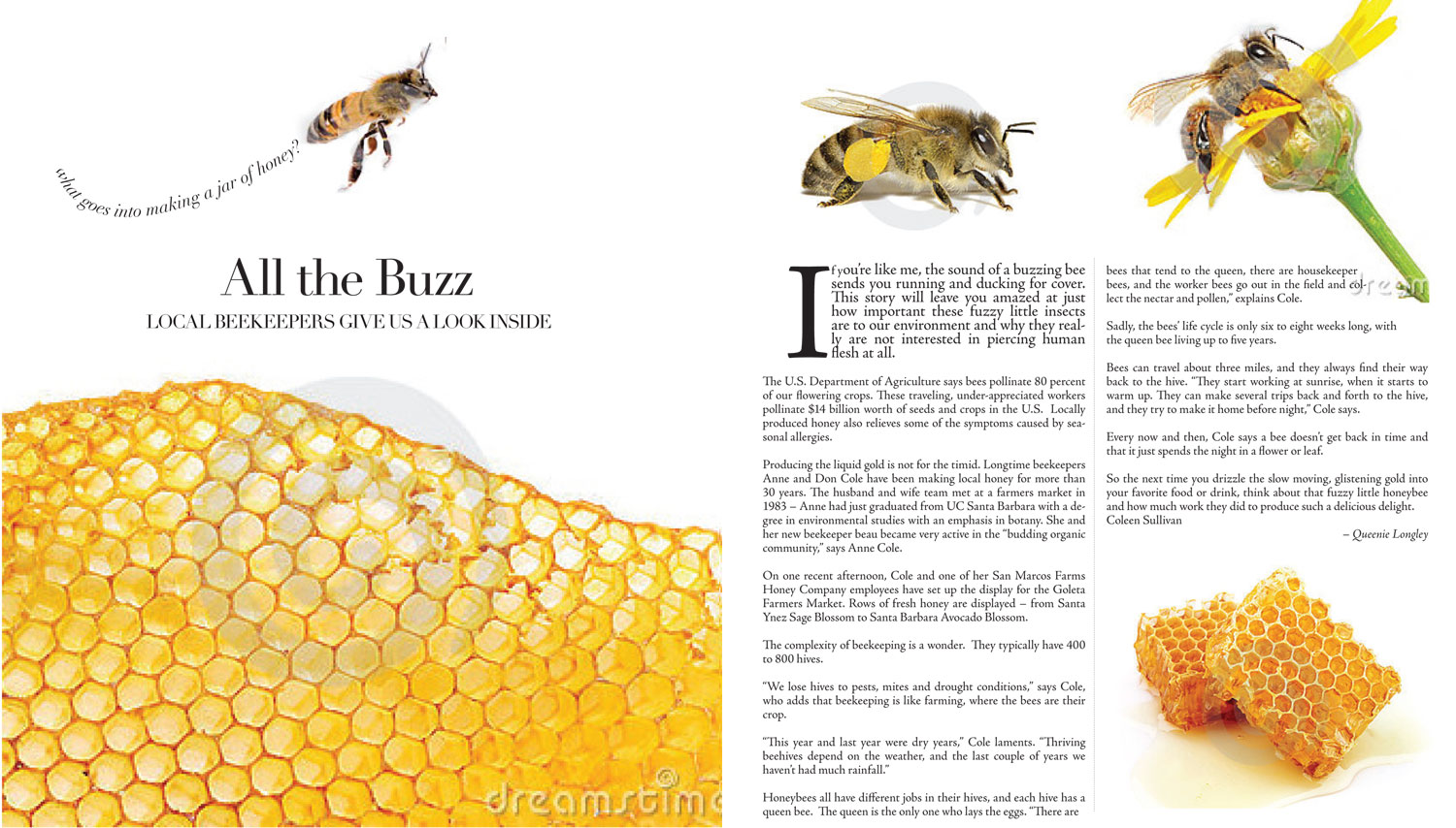 article