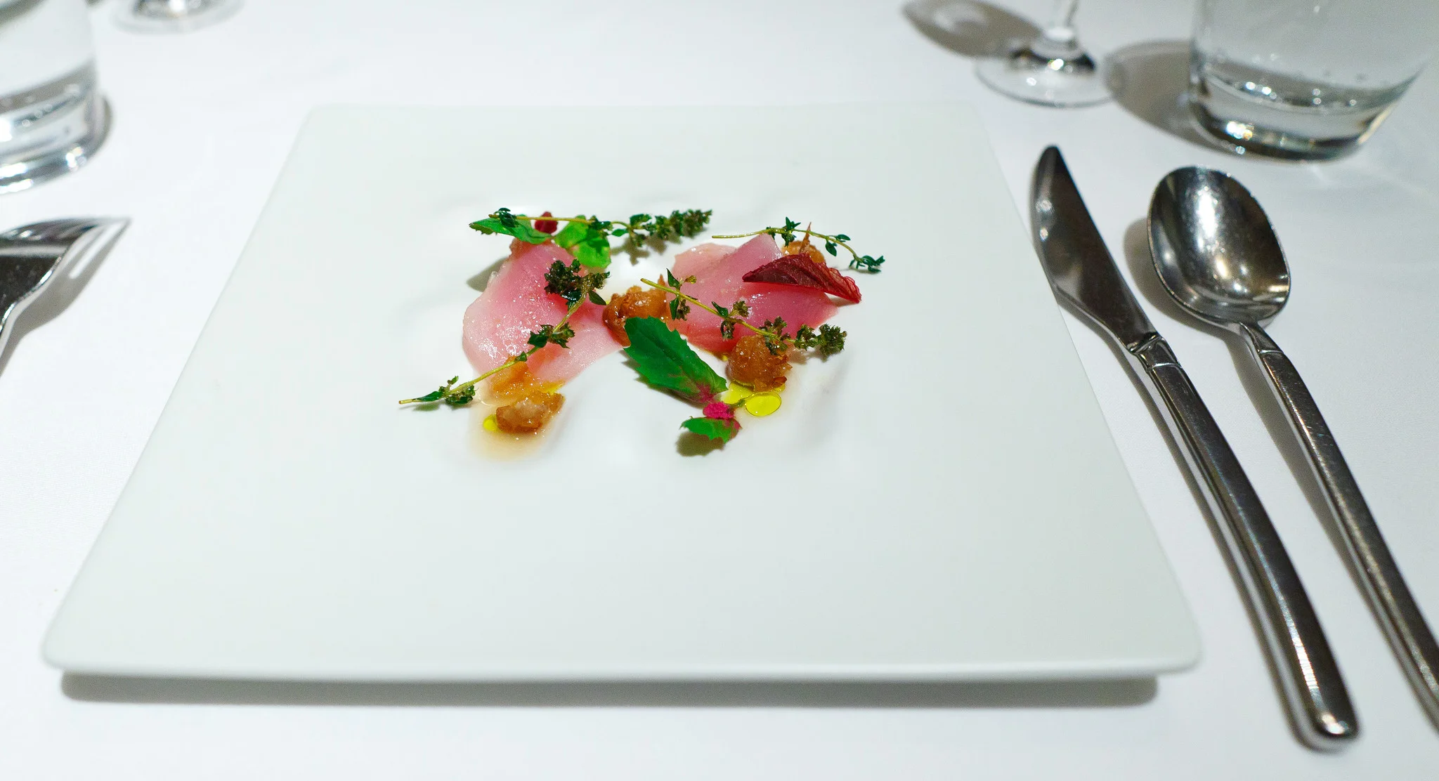 7th Course - Albacore tuna, runner beans, crispy bean shell bouillon, lemon verbena, olive oil