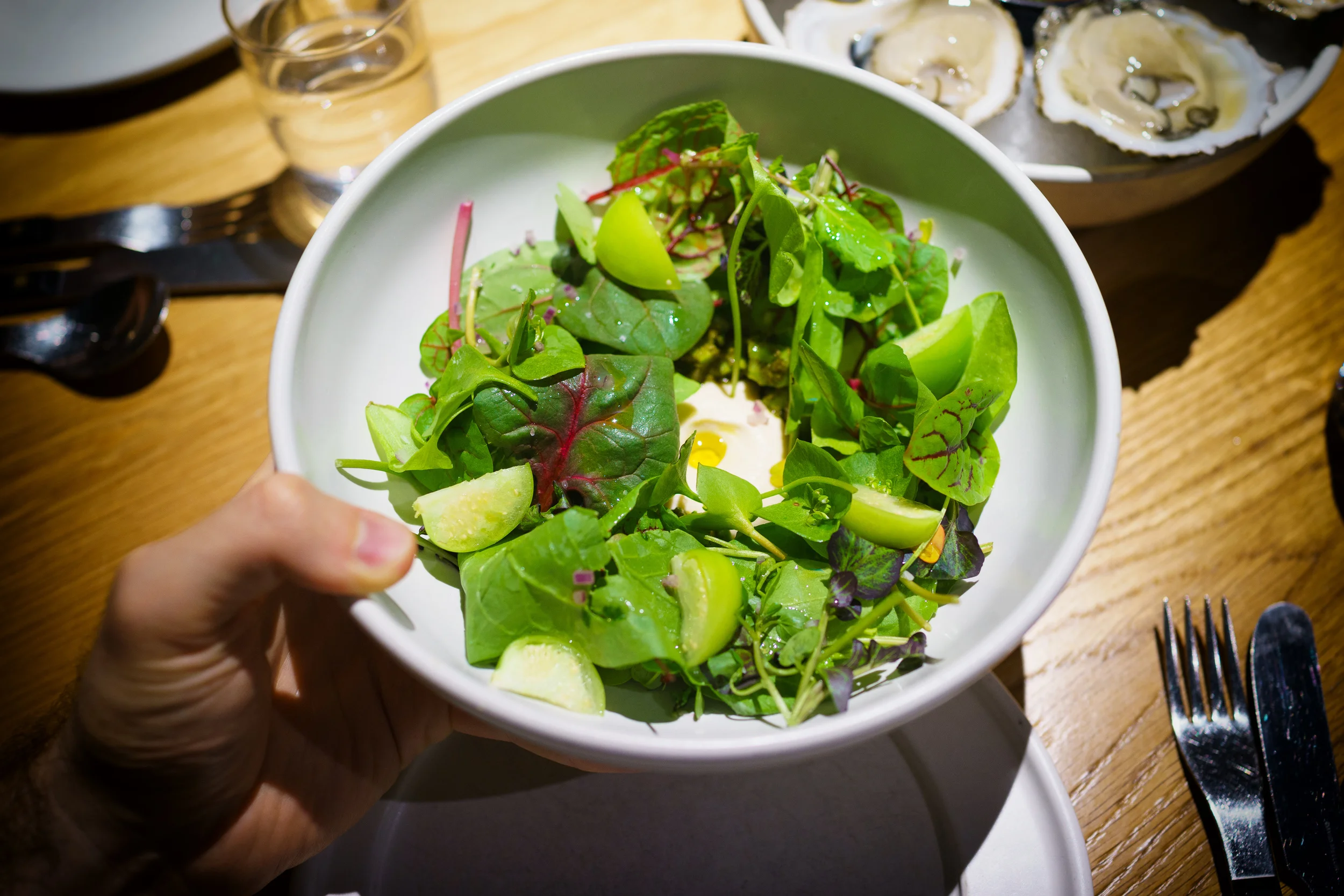 Nopal cactus salad, greens ($15)