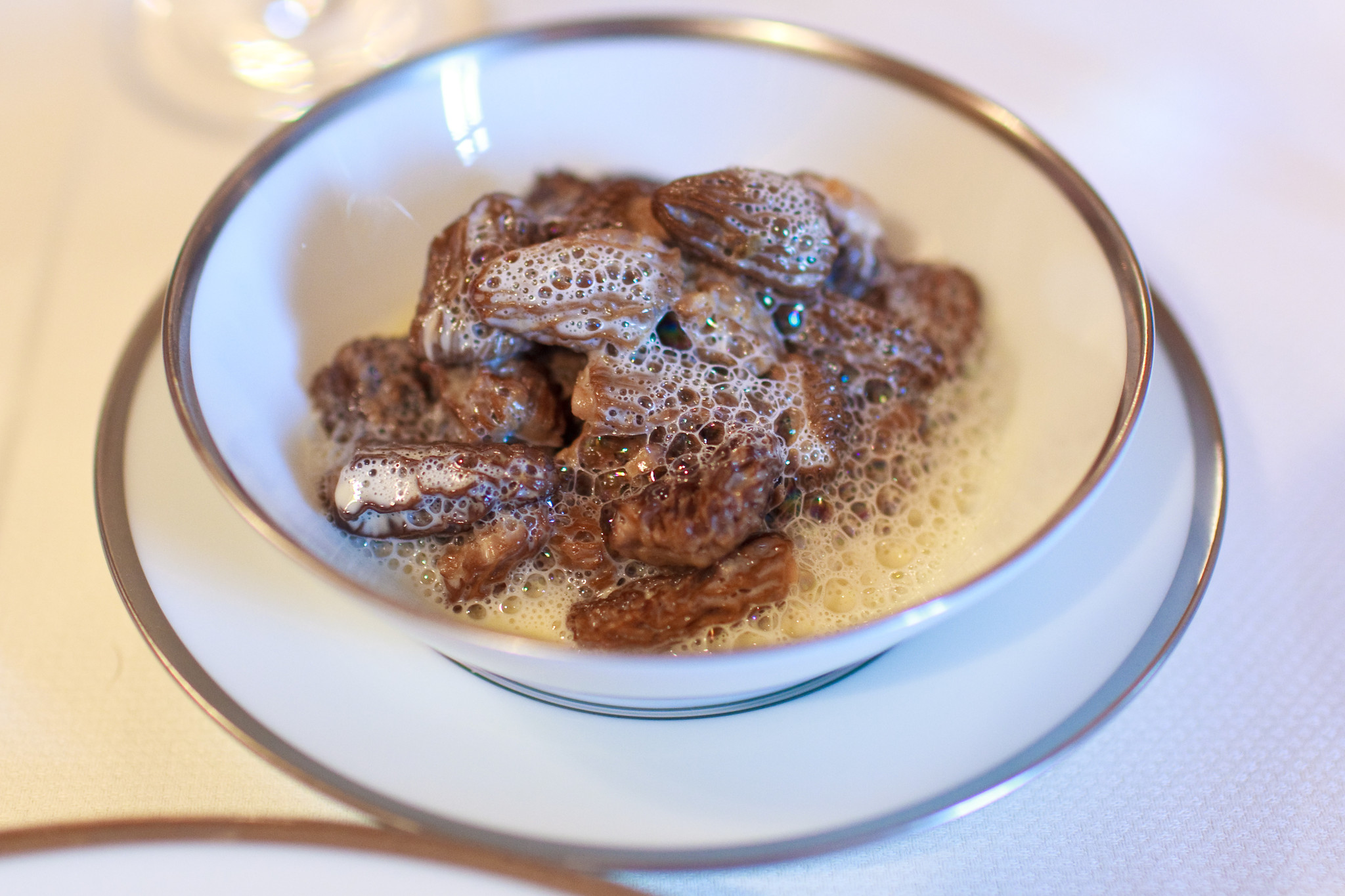 Morel Mushrooms