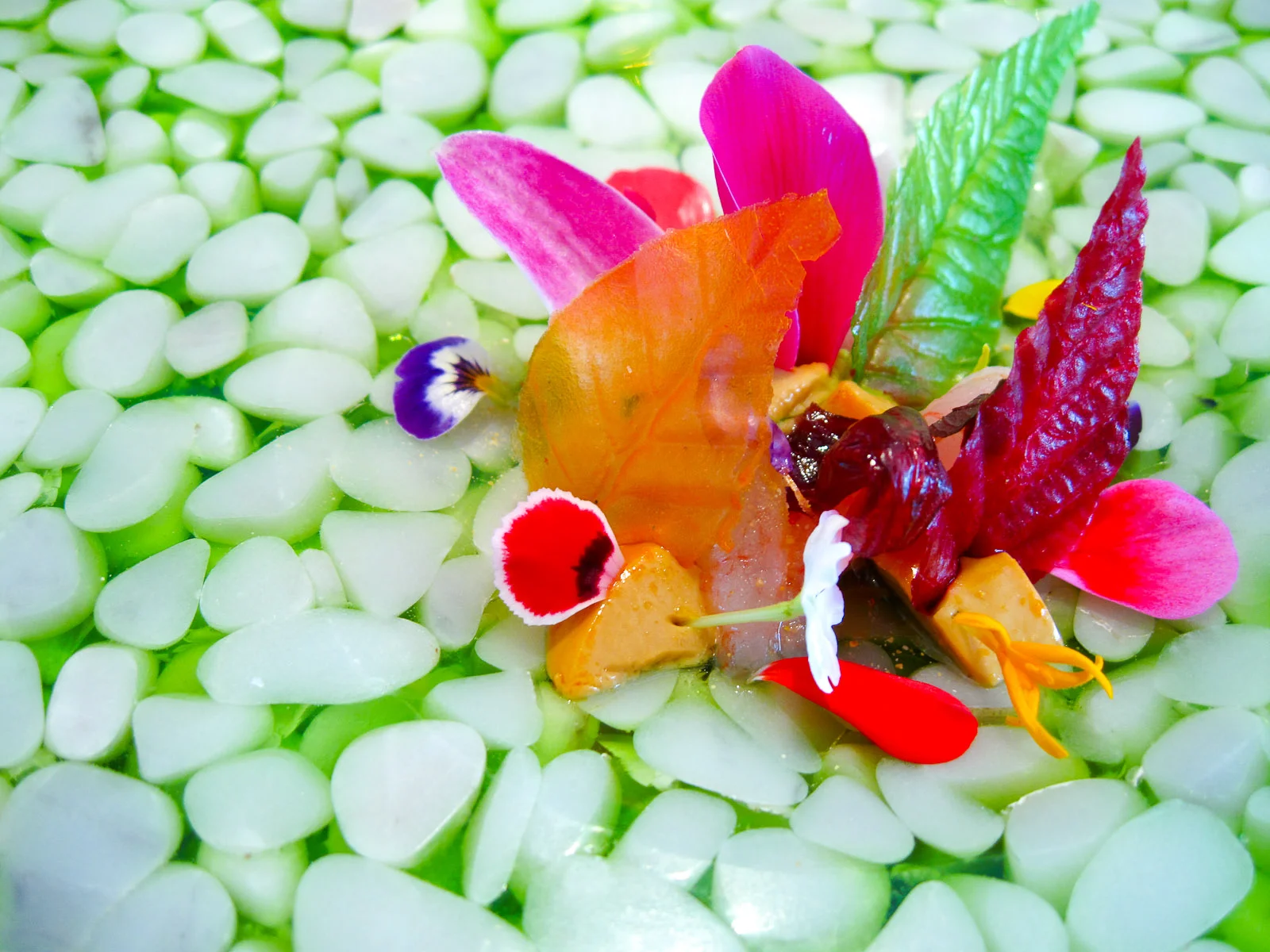 3rd Course Primavera