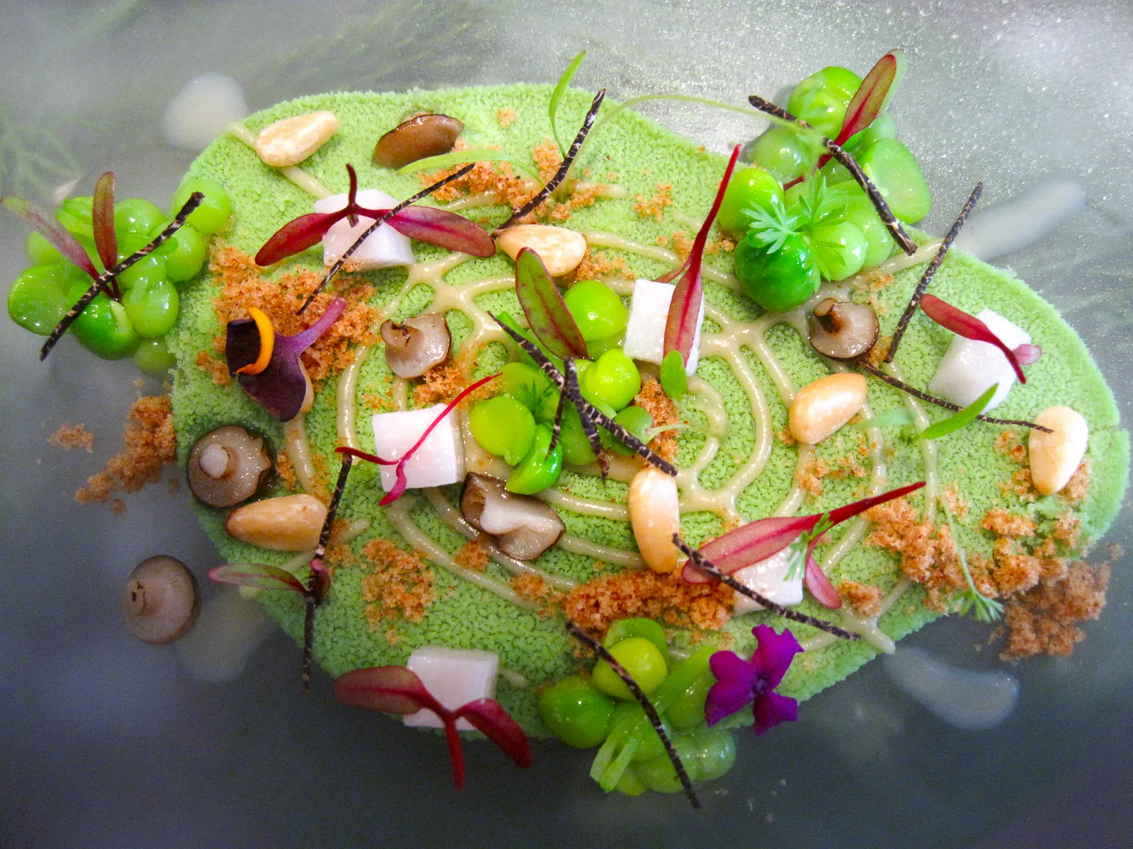 6th Course The Haze