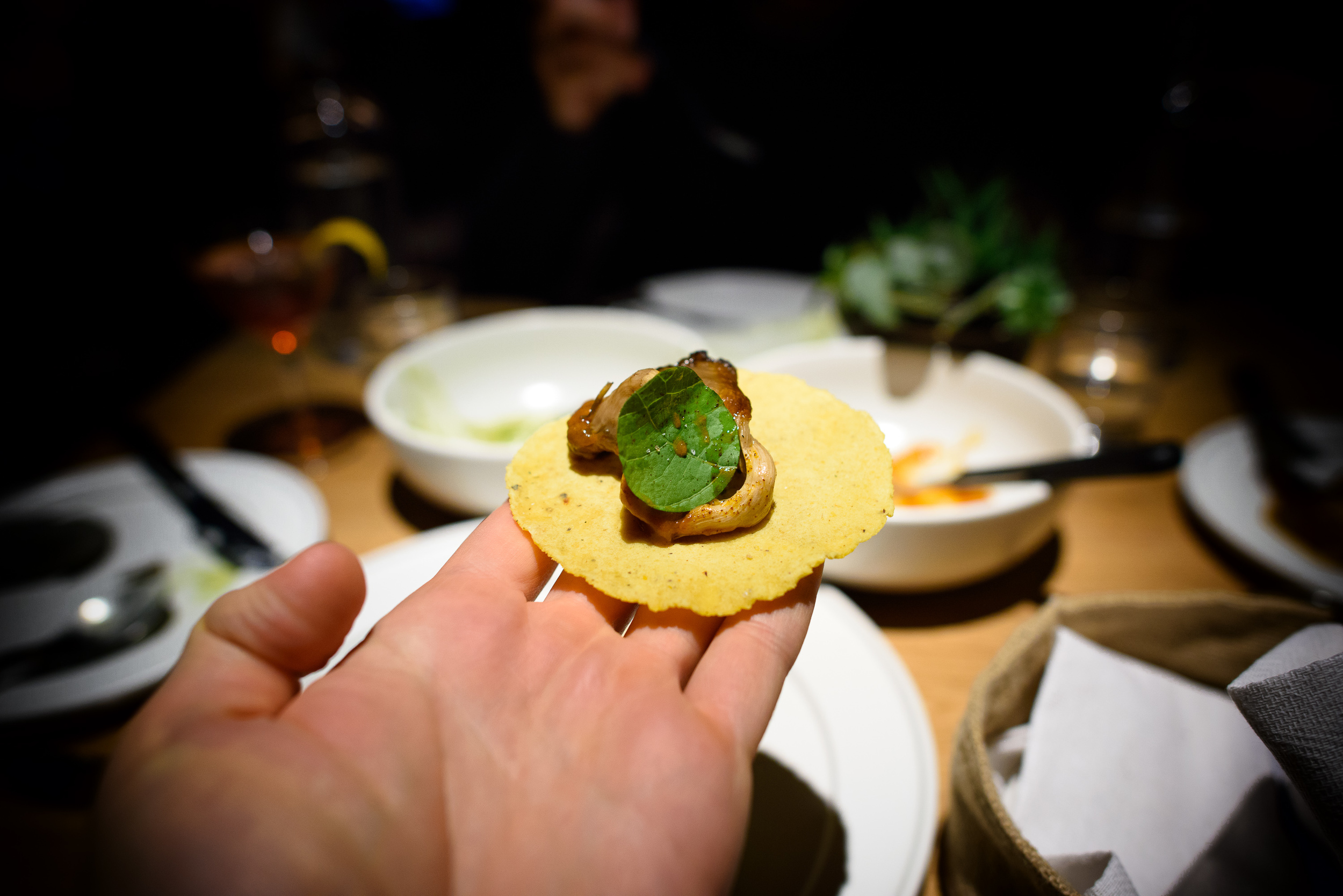 Mushroom barbacoa, chilpachole on a yellow corn tortilla