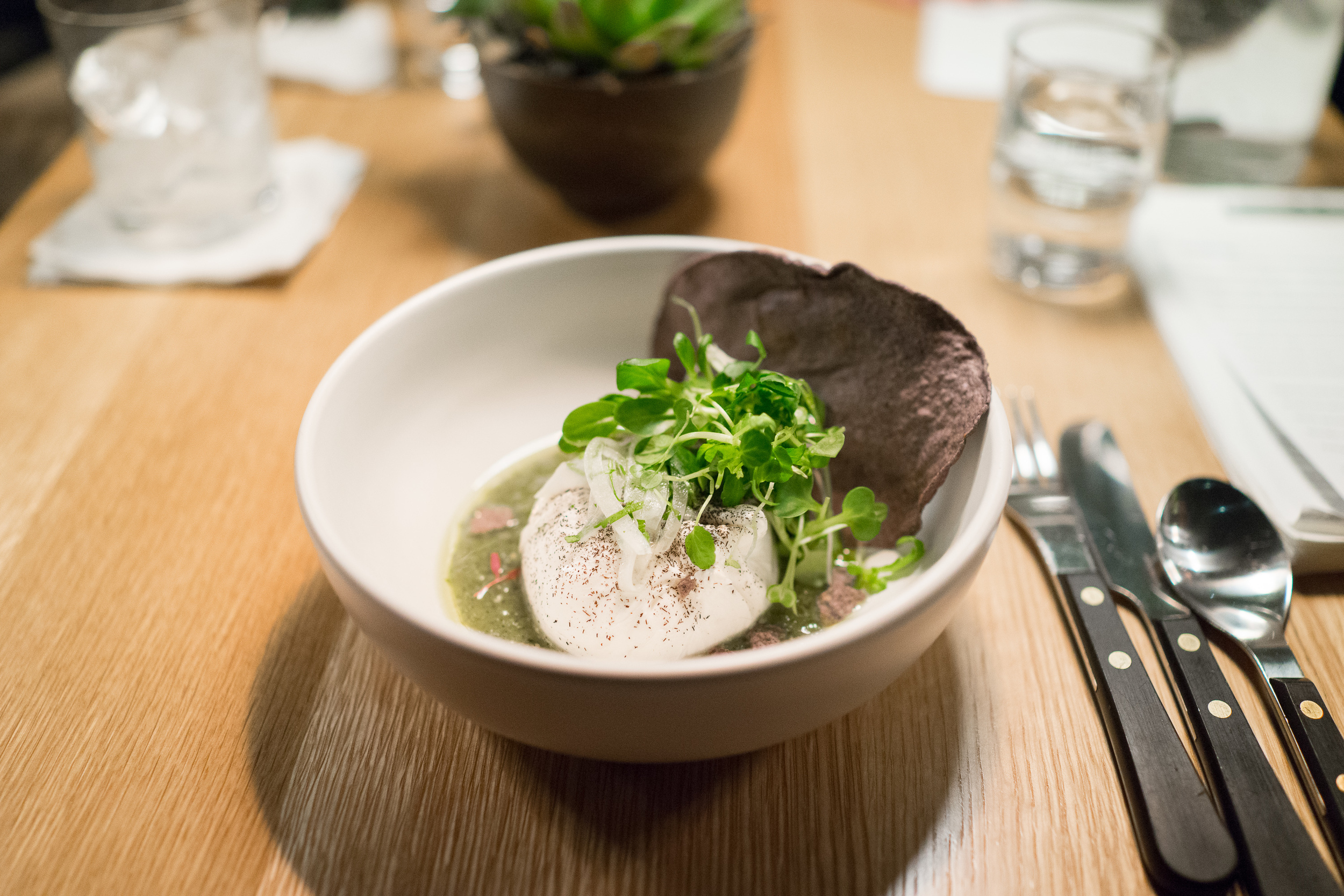 Burrata, salsa verde, weeds ($24)