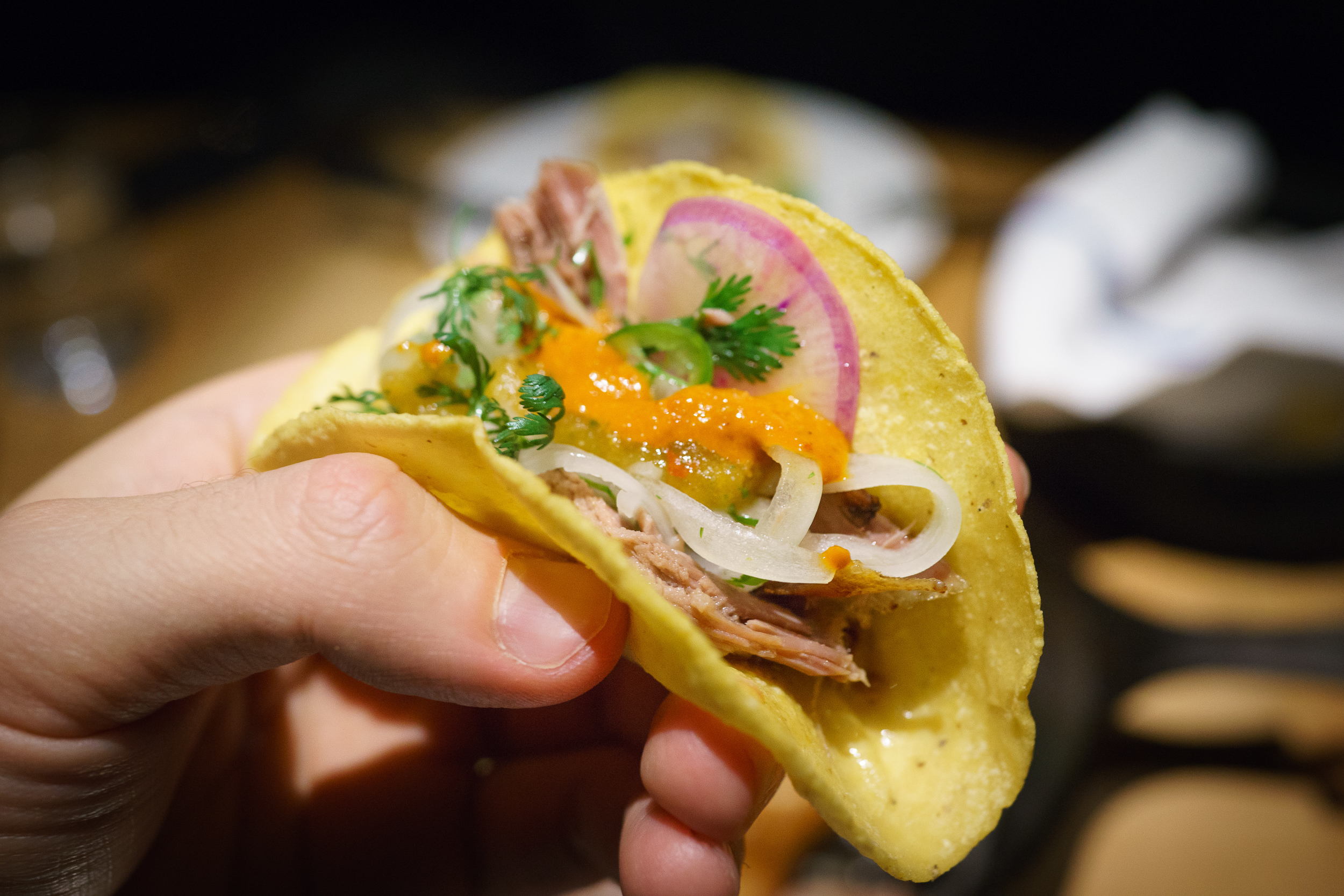 Duck carnitas, onions, radishes, salsa verde, taco up close