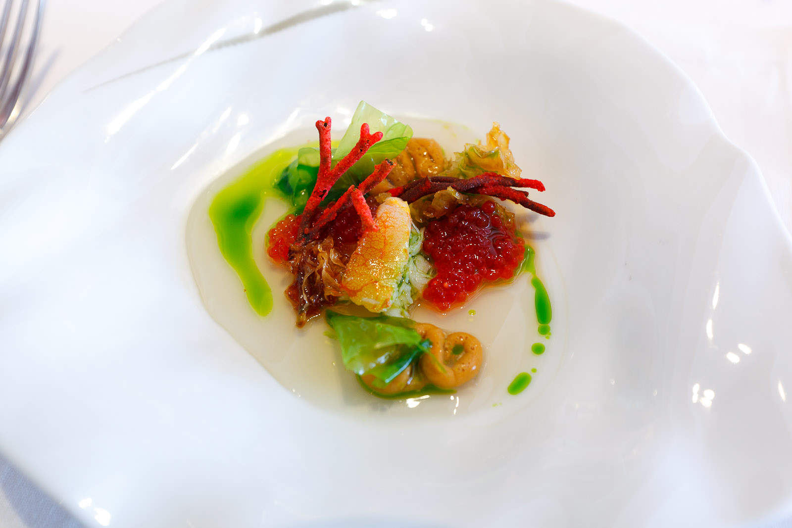 12th Course Coral