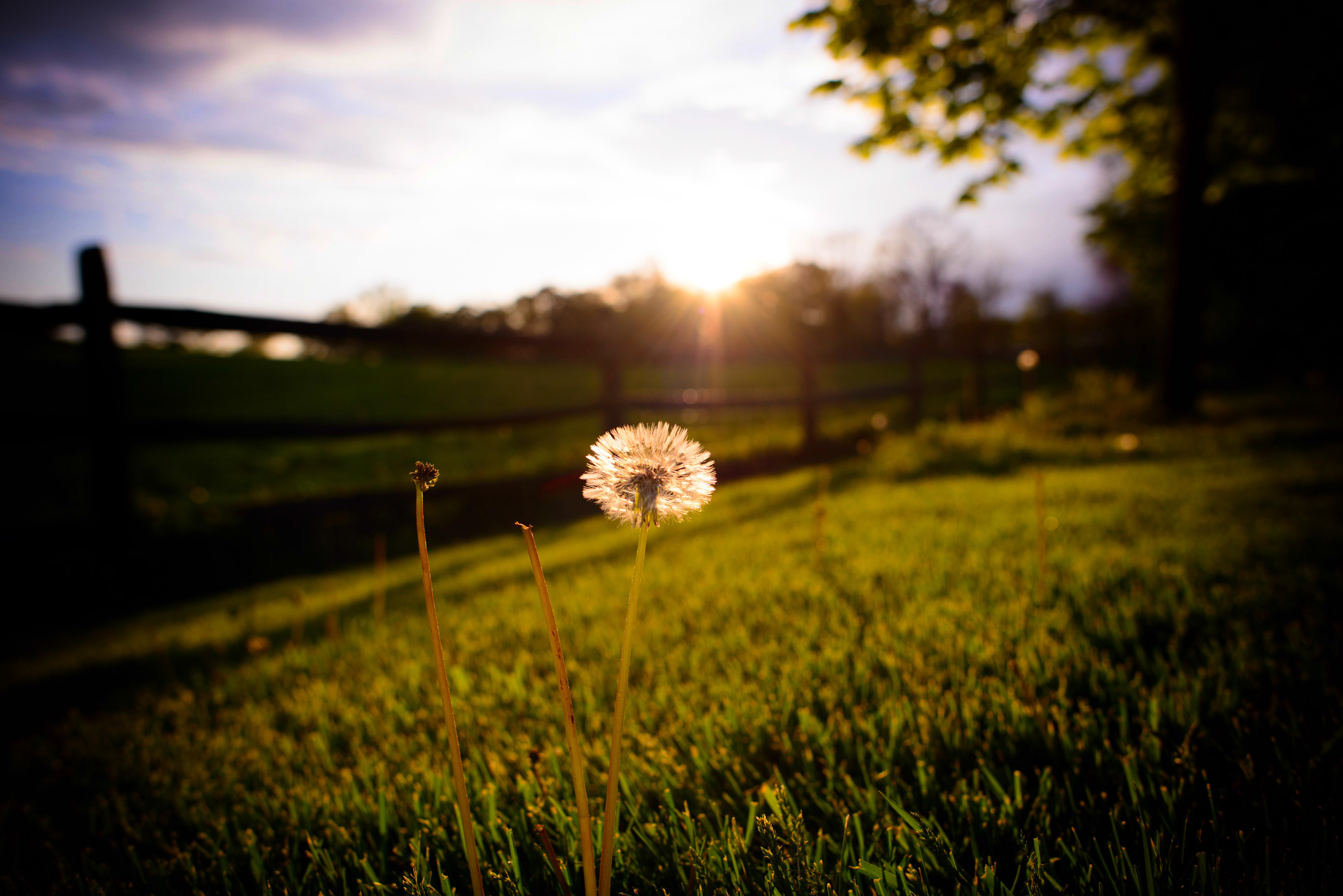 Sunset at Blue Hill