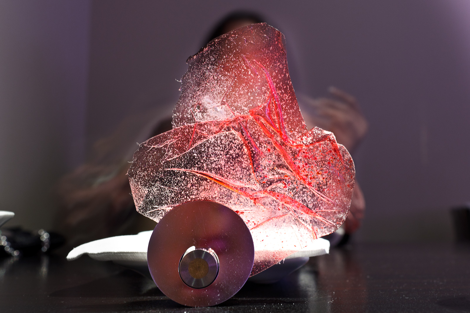 Alinea, Chicago - Transparency of raspberry, yogurt