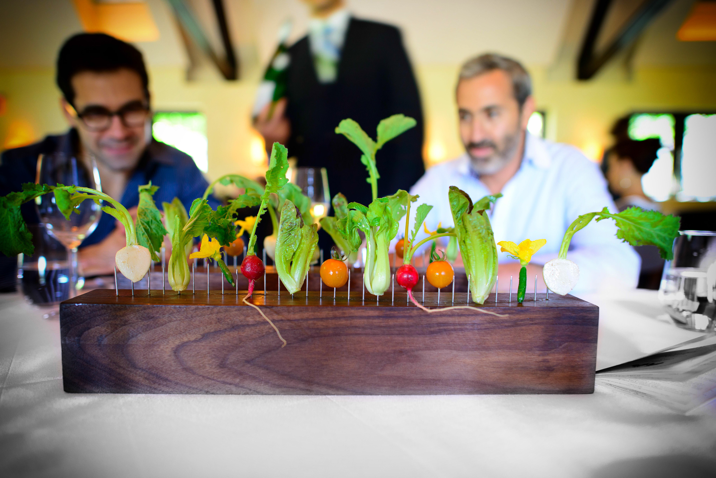 Summer vegetables on a fence: radish, turnip