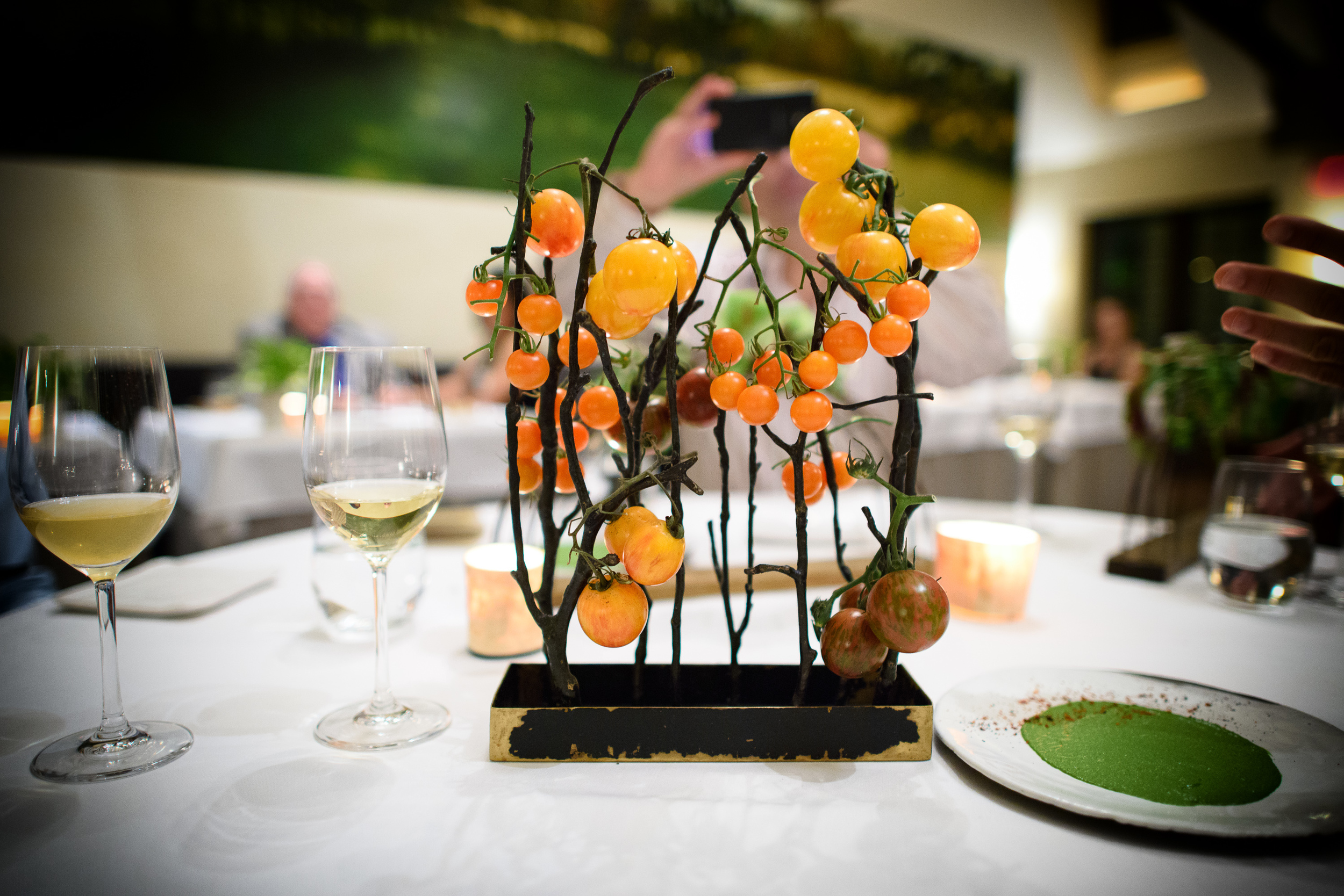 Garden tomatoes and tarragon pistou