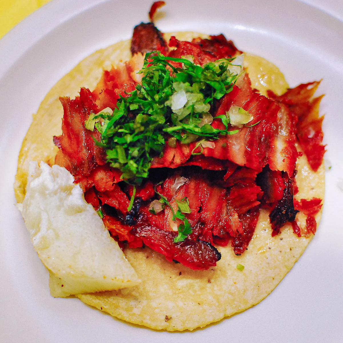 El Lago de los Cisnes, Mexico City - Taco al Pastor