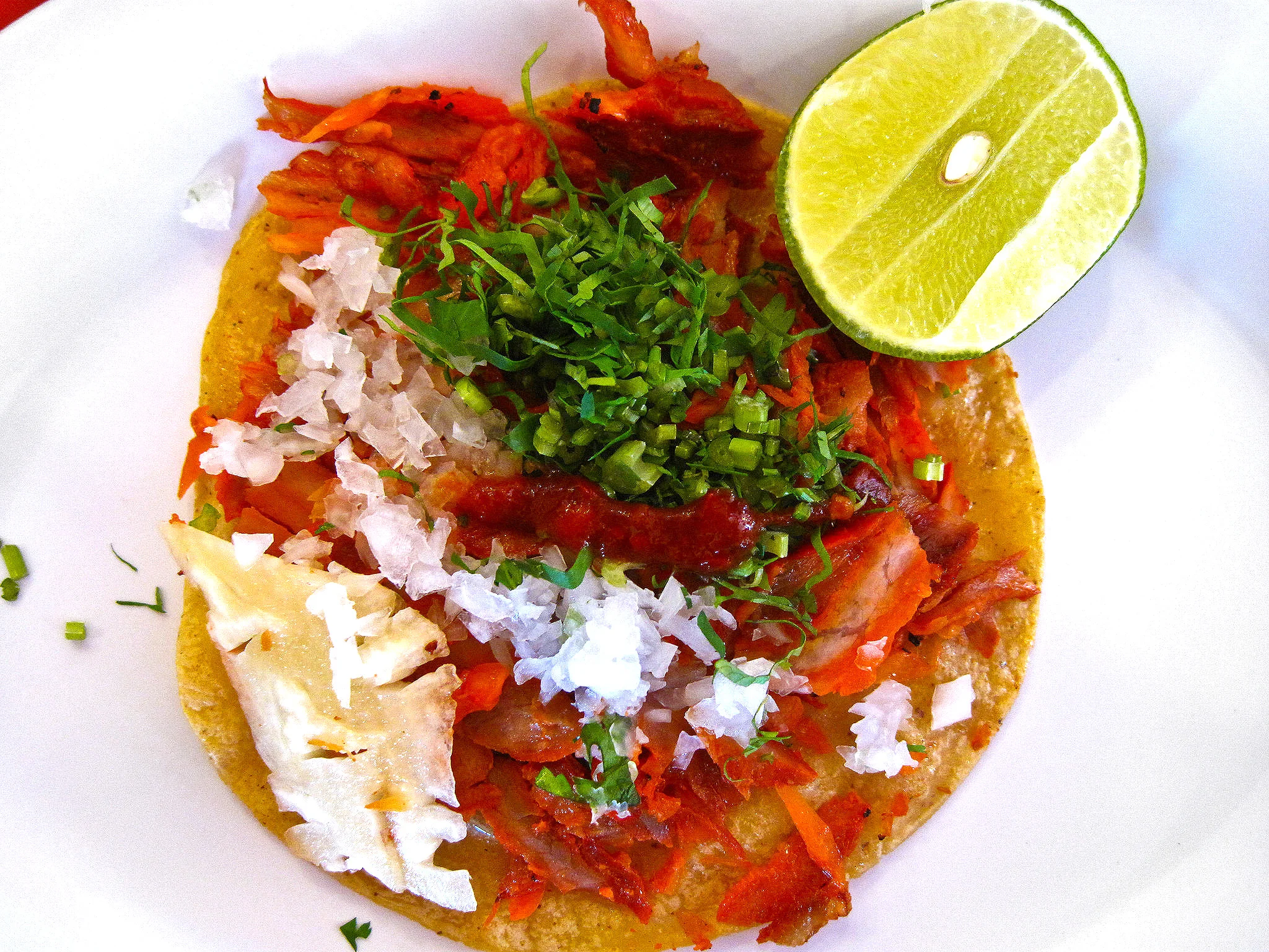 El Charco de las Ranas, Mexico City - Taco al Pastor