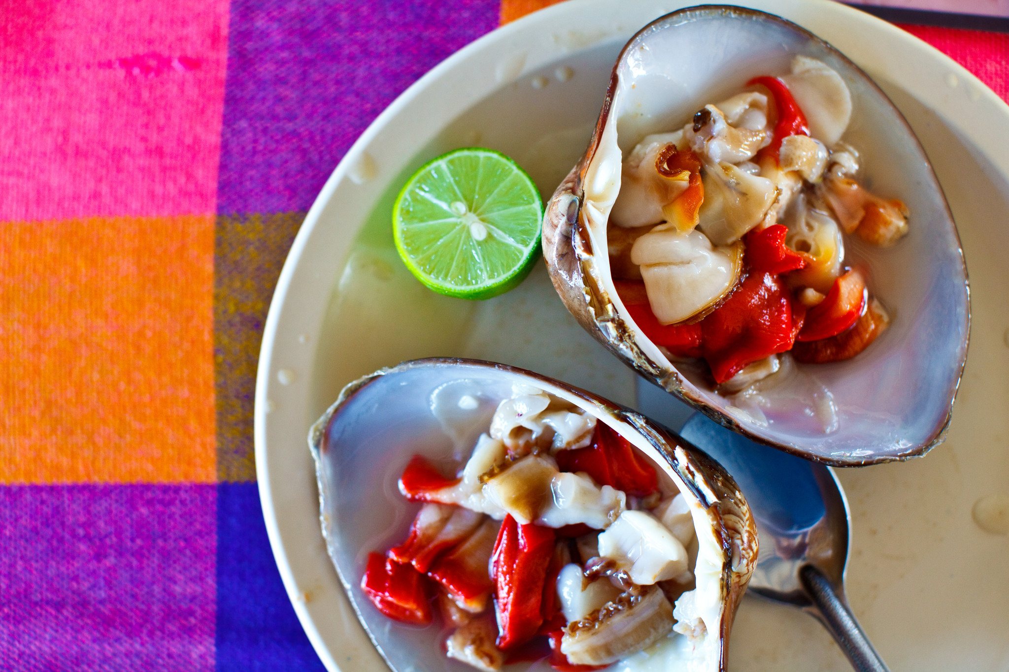 Mariscos el Sinaloense, San Jose del Cabo - Almejas chocolatas