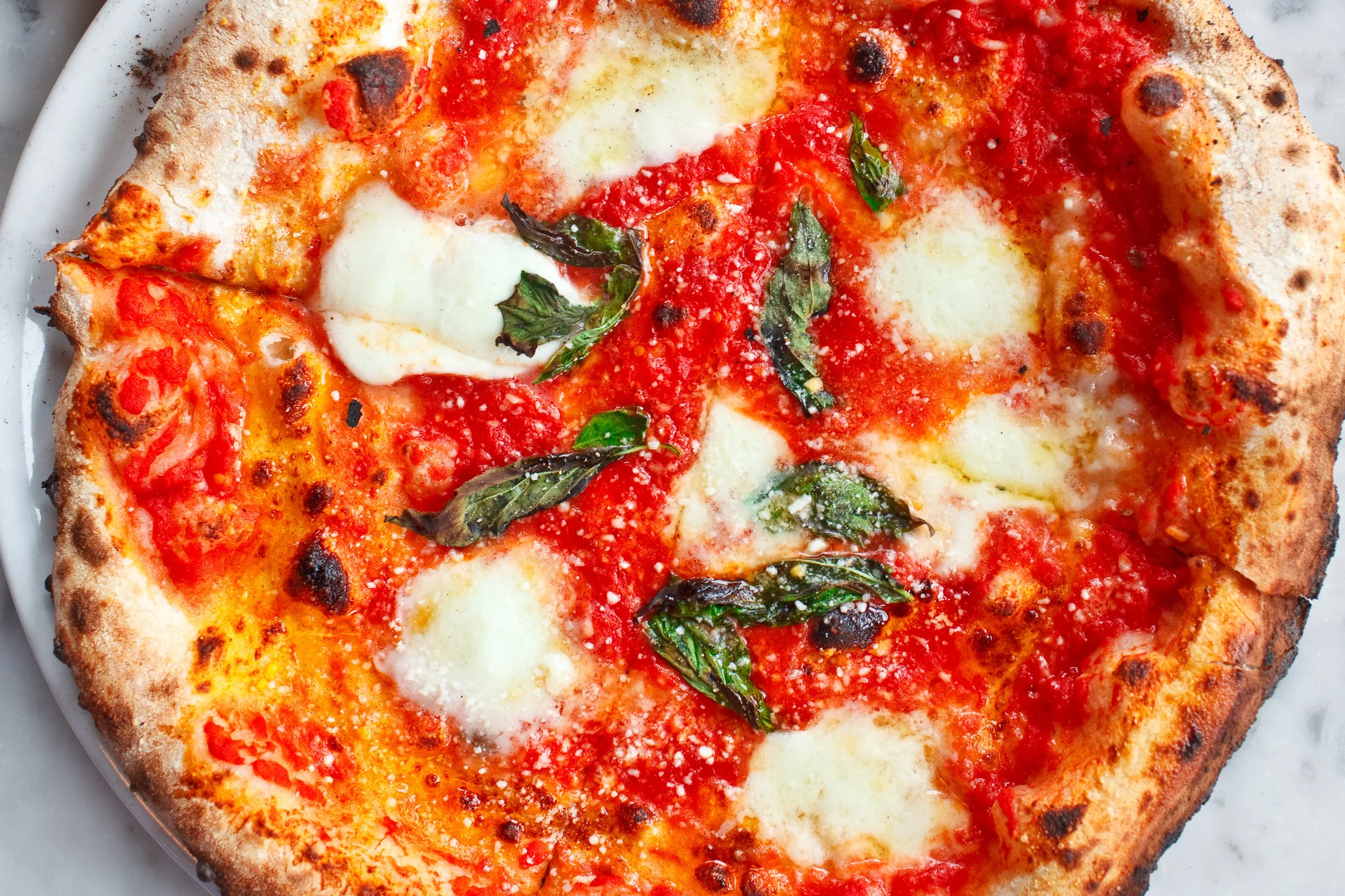 Motorino - Pizza Margherita 5