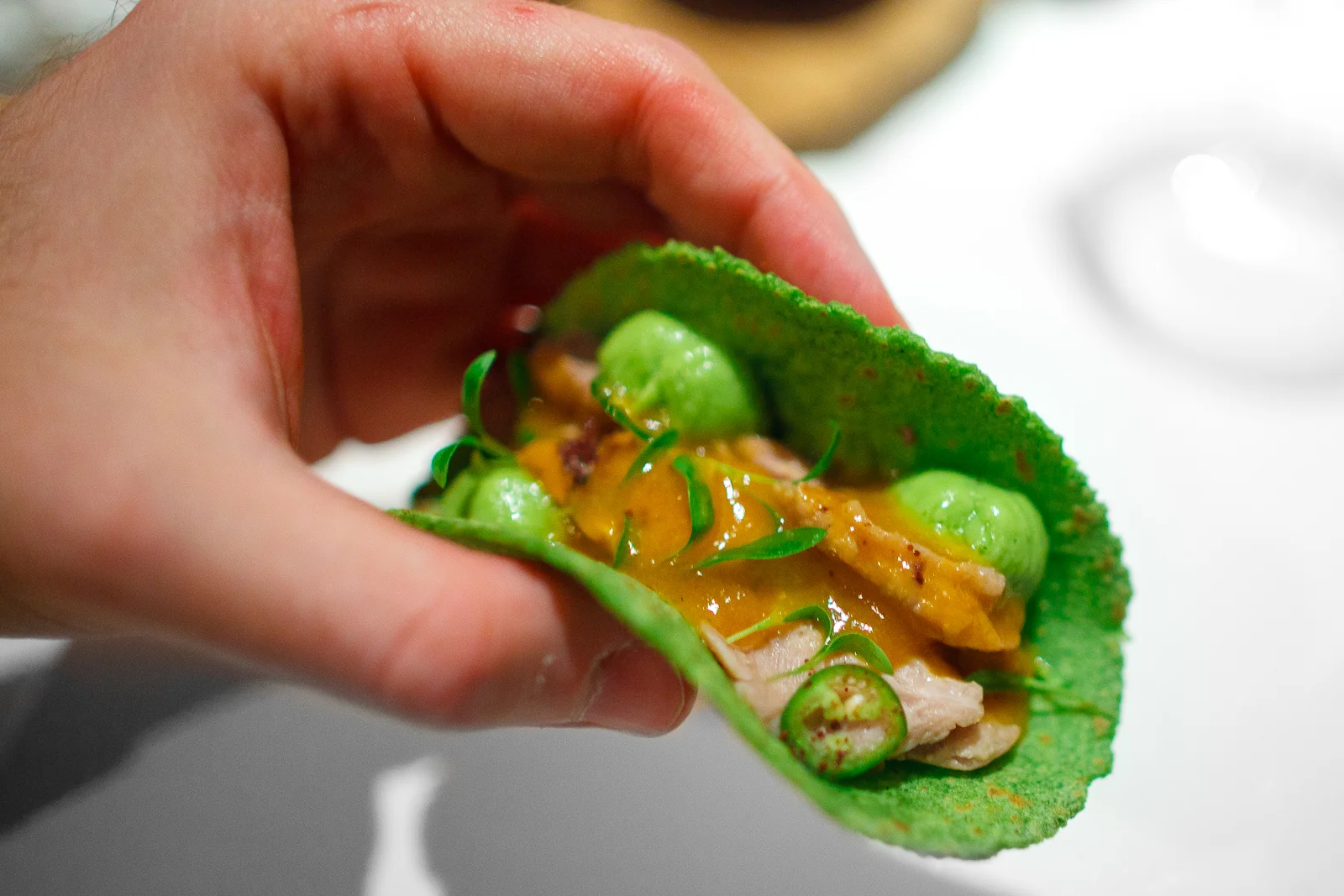 3rd Course: Barbacoa slowly cooked for 24 hours, avocado cream, poblano pepper tortilla, serrano chile