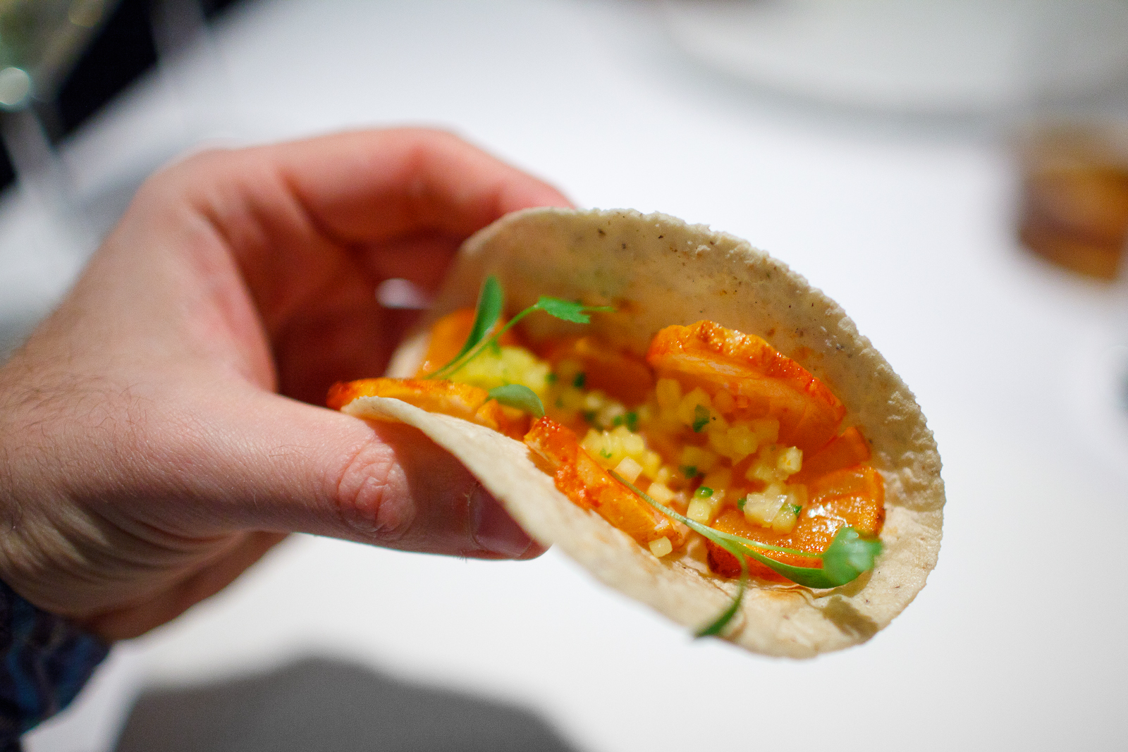 4th Course: Taco de robalo al pastor - guarnición tradicional (corn tortilla with seared snook, pineapple butter), up close