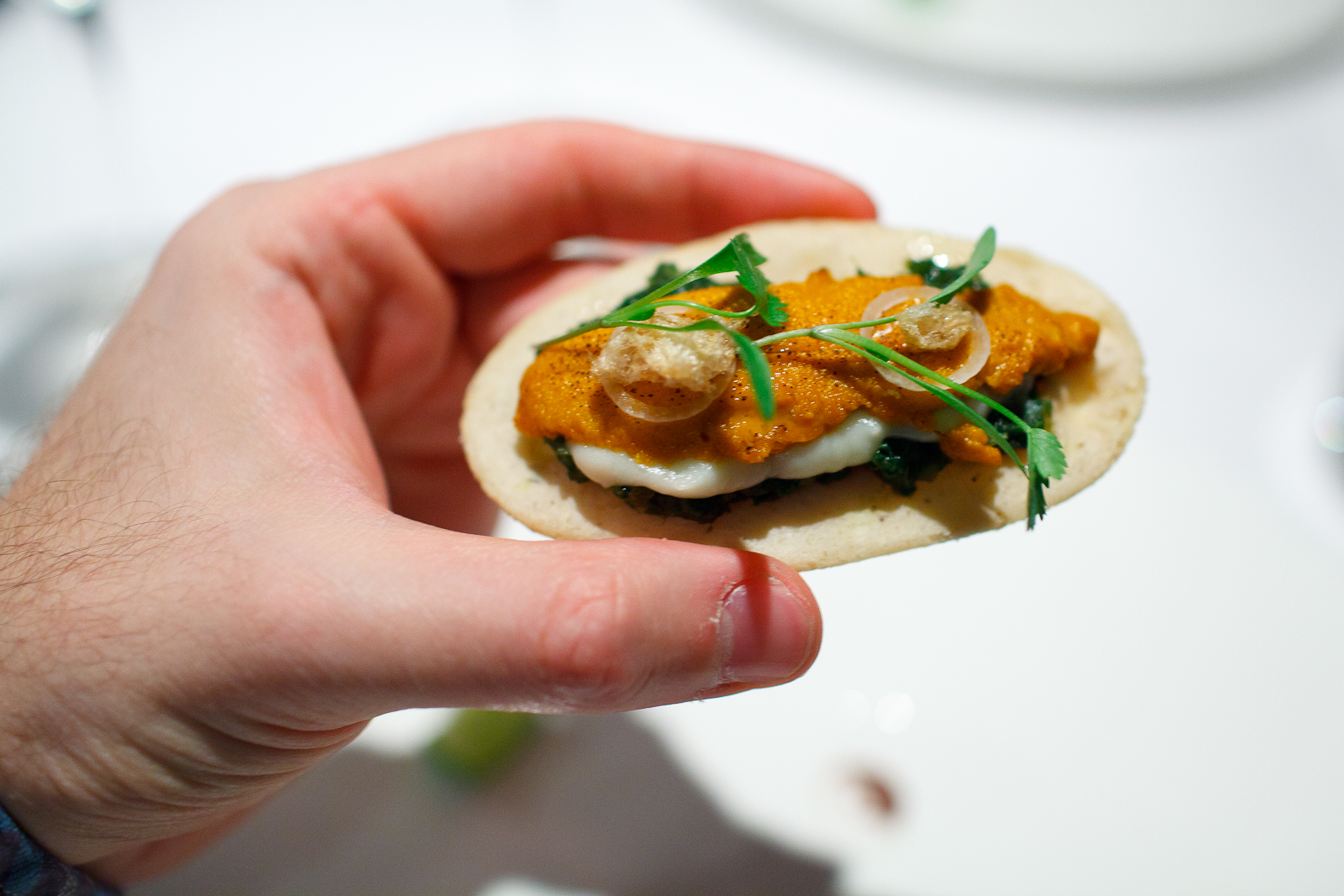 5th Course: Sope de erizo y papa, hoja de rábano tatemado (Sea urchin sope with potato purée, fire-toasted radish leaf), up close