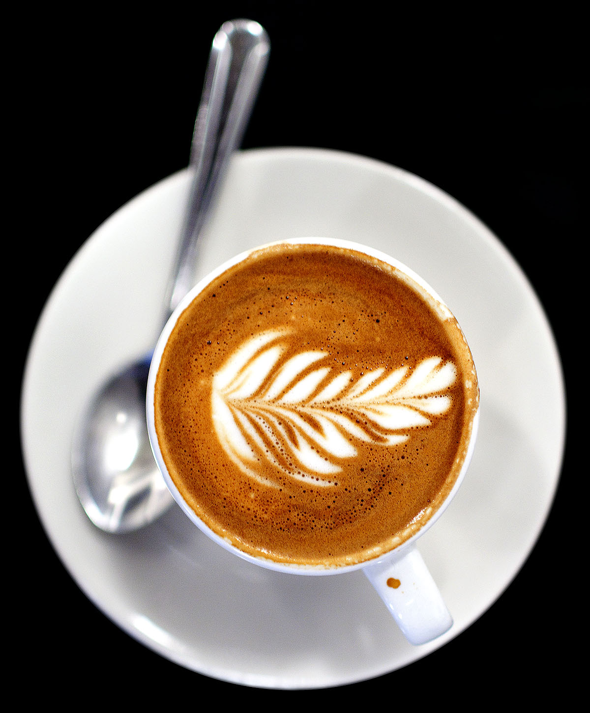 Ninth Street Espresso - Triple Macchiato Close Up