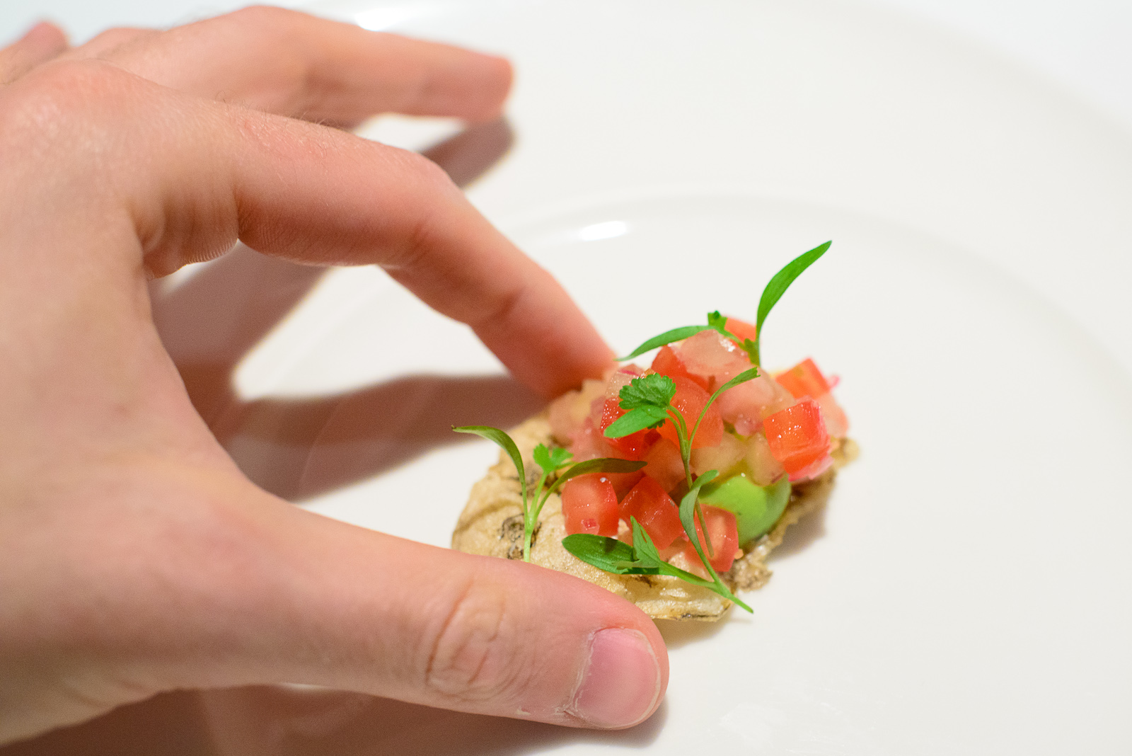 2nd Course: Chicharrón de pescado, salsa de xoconostle, hierbab