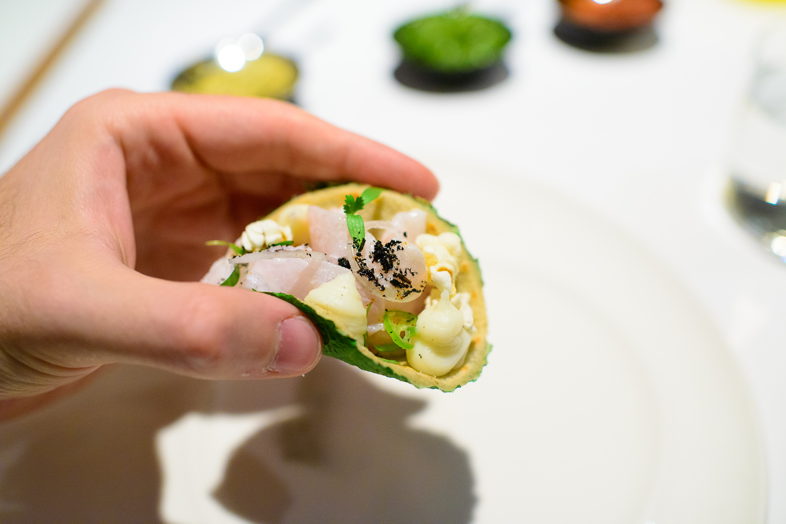 3rd Course: Taco de ceviche de robalo, tortilla de chayote y hoj