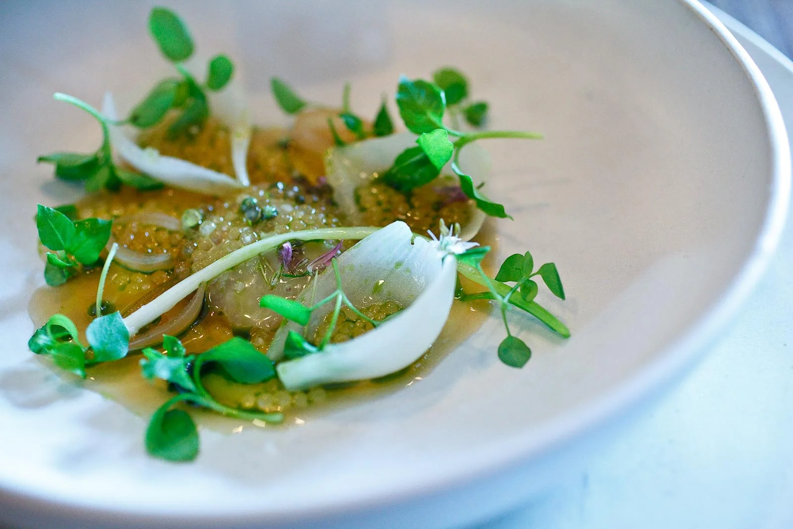 Noma — A Life Worth Eating