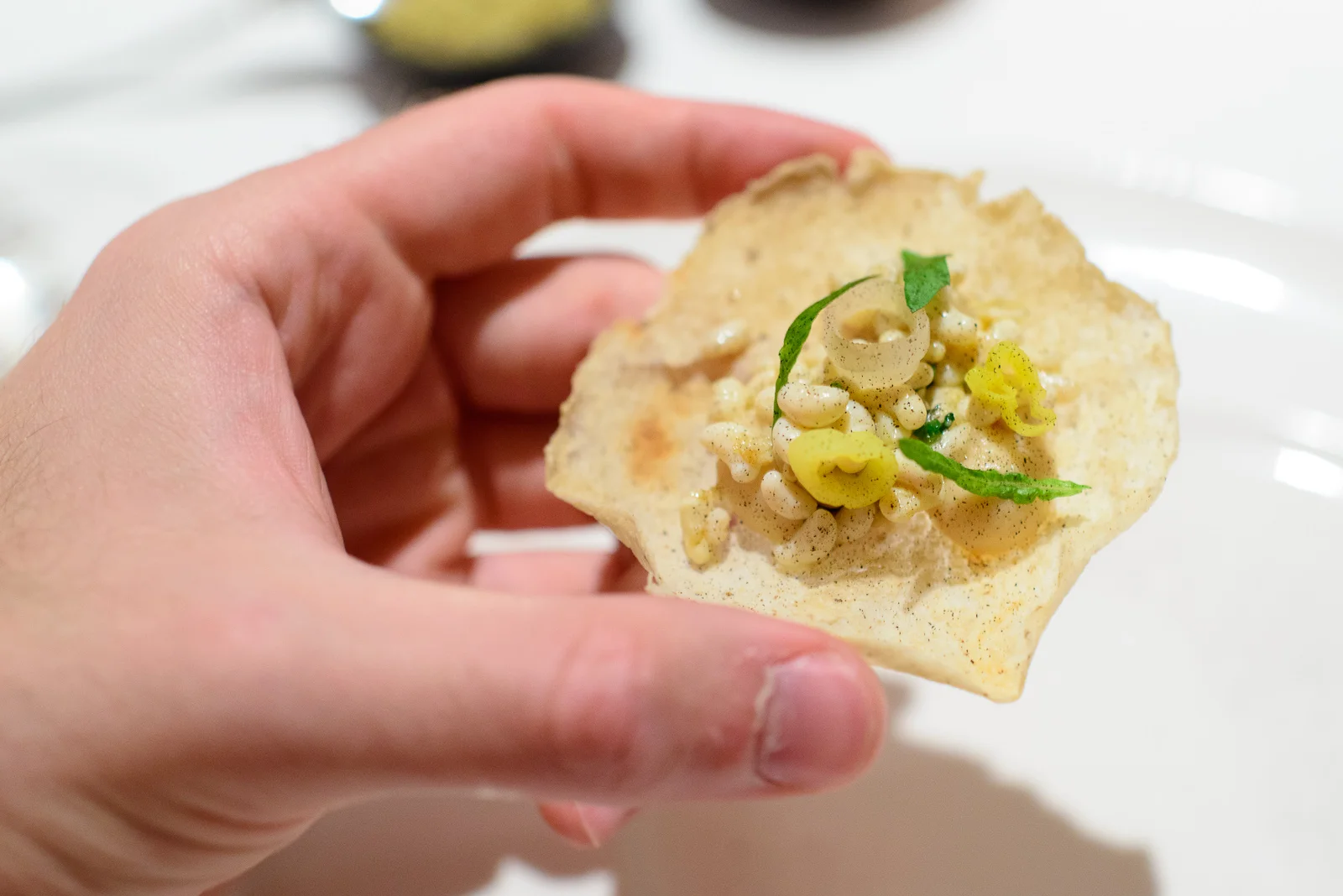 5th Course: Tostada de escamoles con epazote y ceniza de cebolla