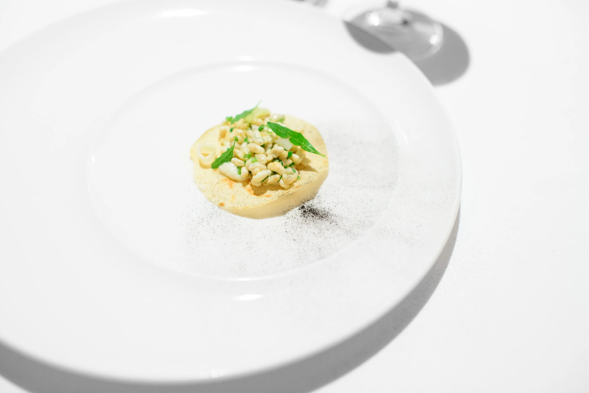 2nd Course: Tostada de escamoles con epazote y ceniza de cebolla