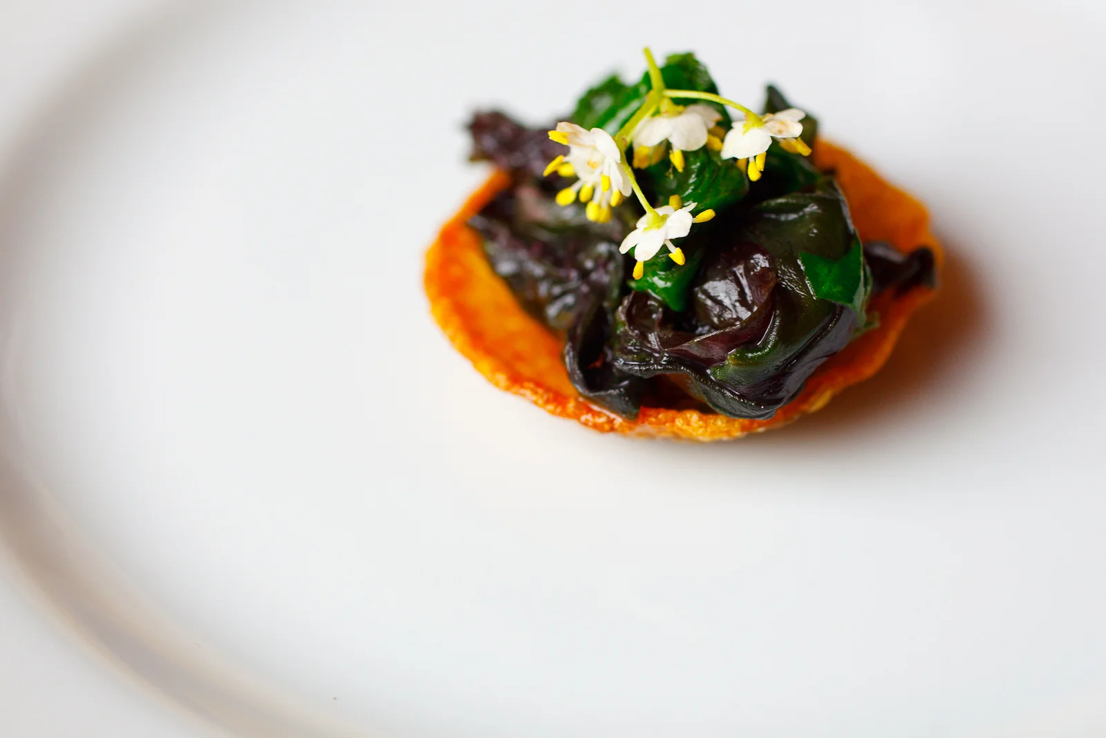 Spinach and Elderflower
