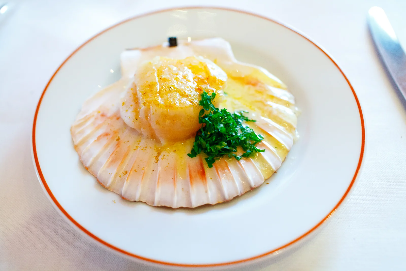 Scallop
