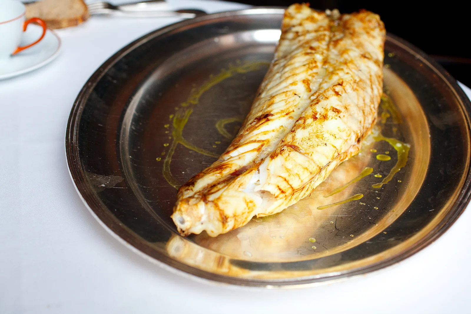Turbot