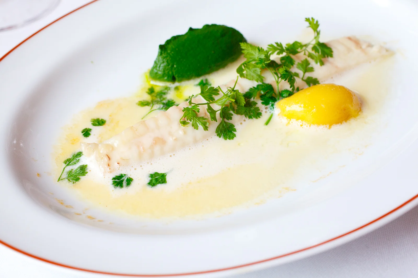 Turbot