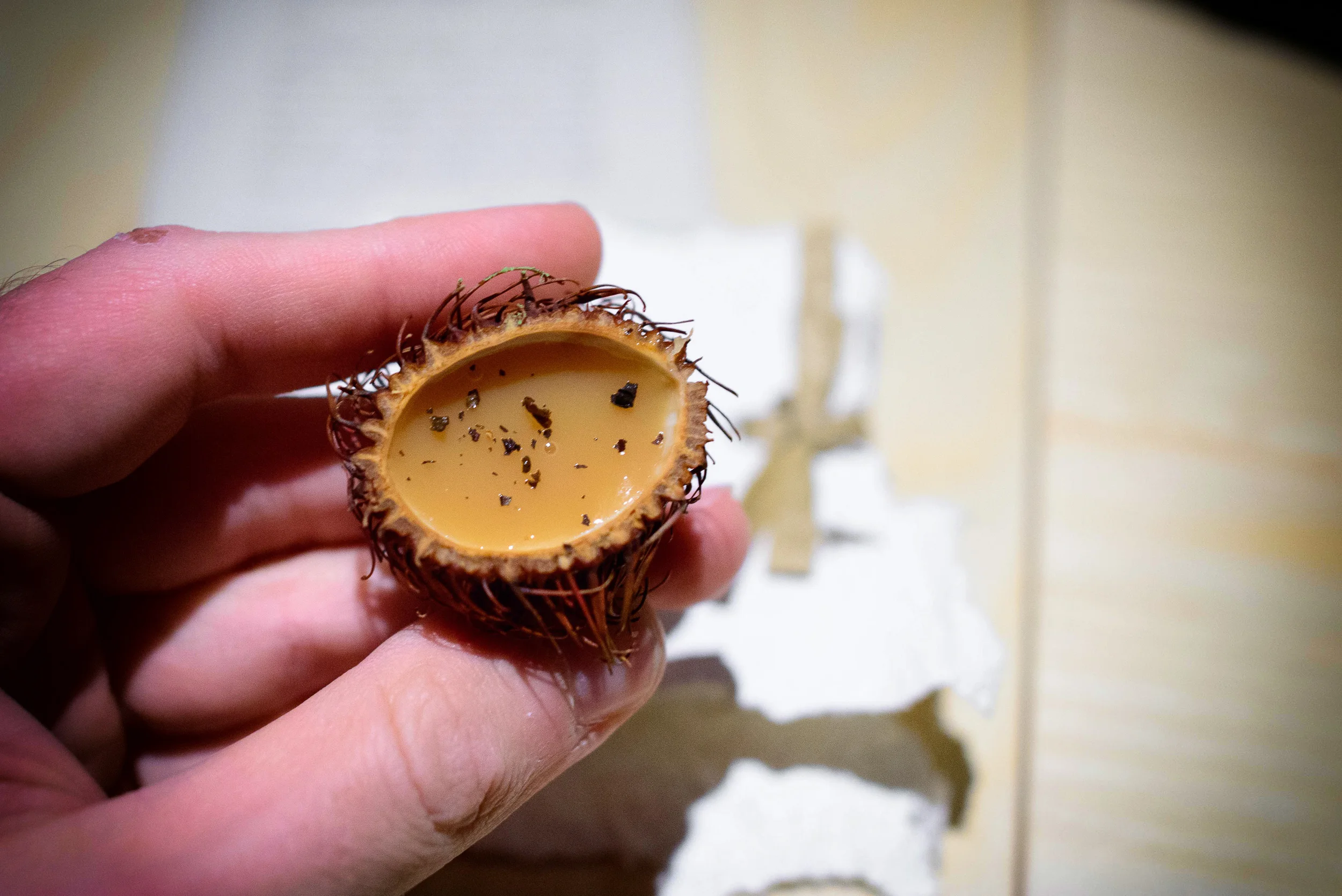 Earl grey rambutan, up close
