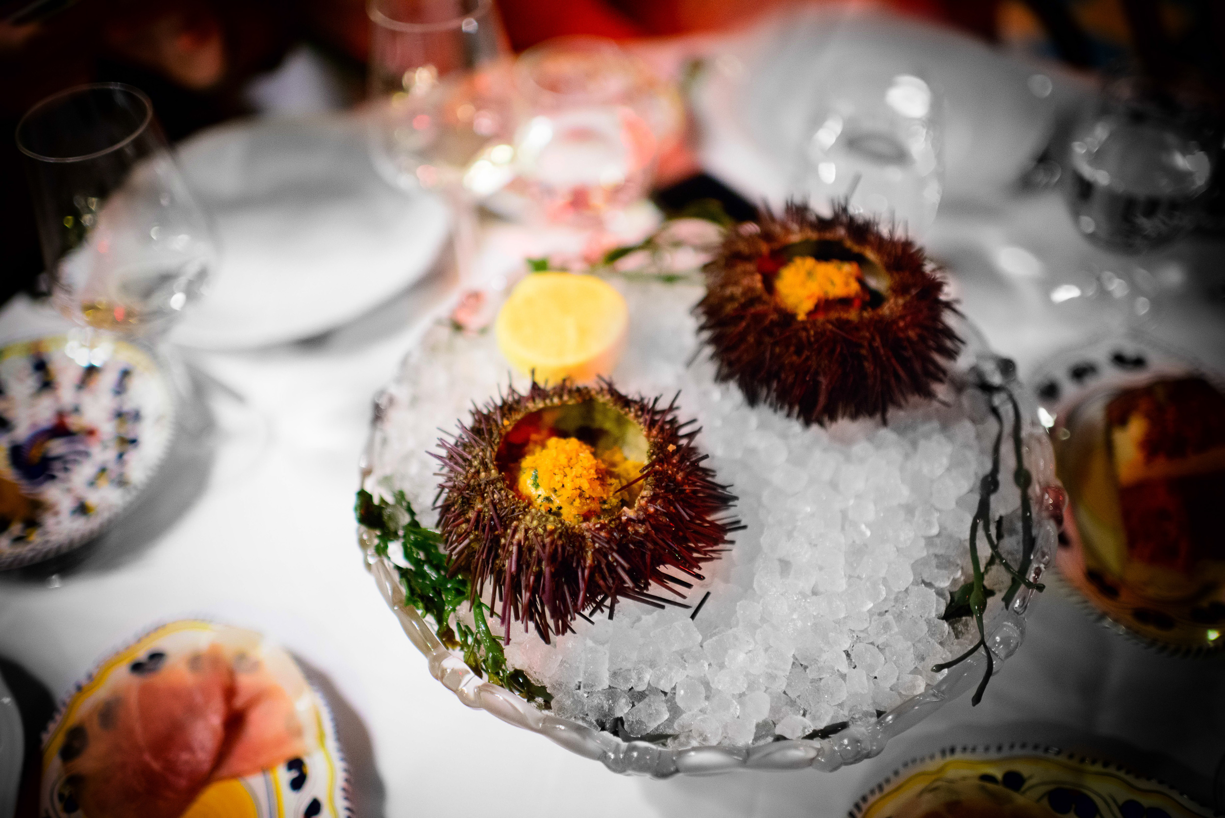 Sea urchin, spicy bread crumbs