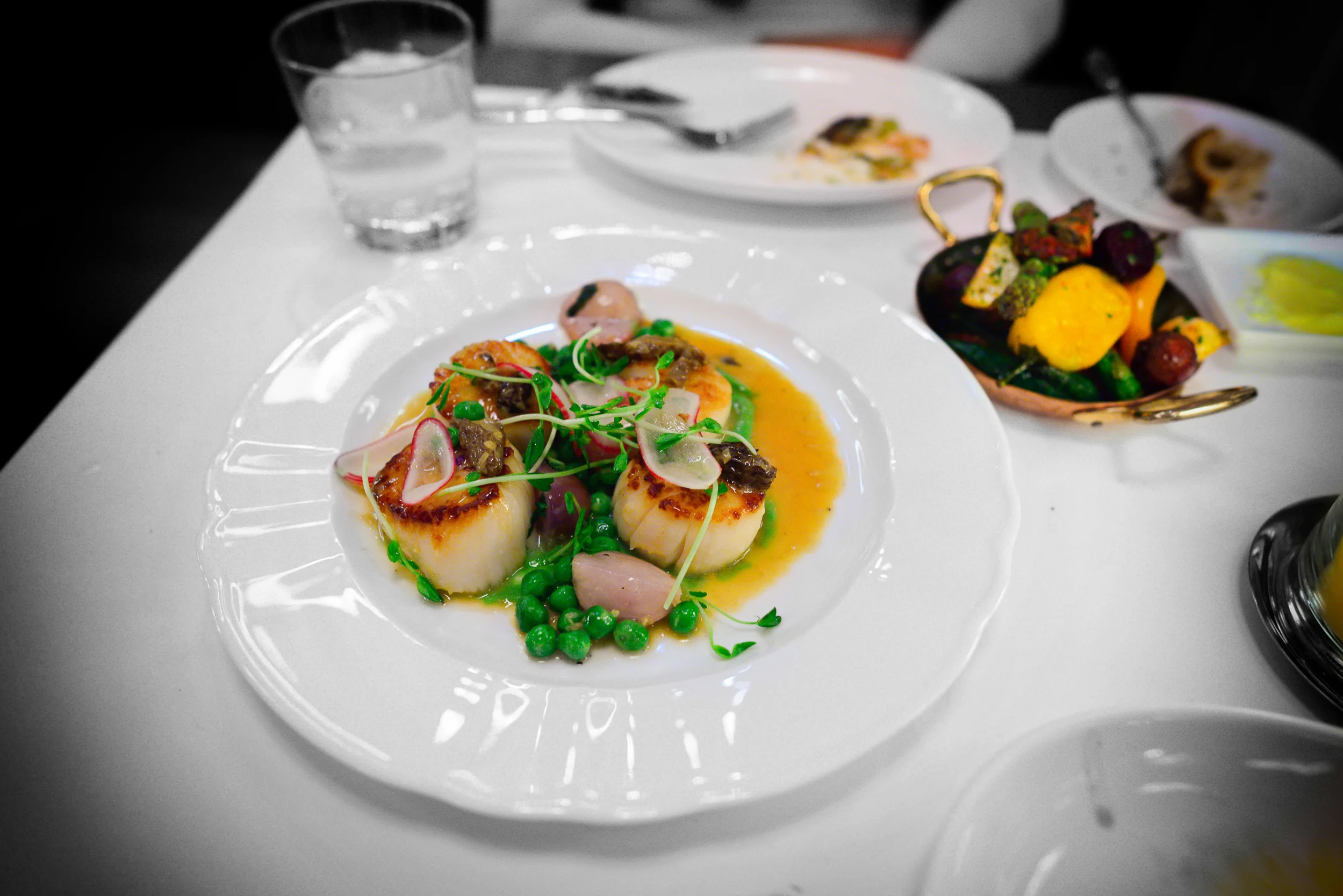 Scallops à la Plancha, spring peas, morels and tarragon ($29)