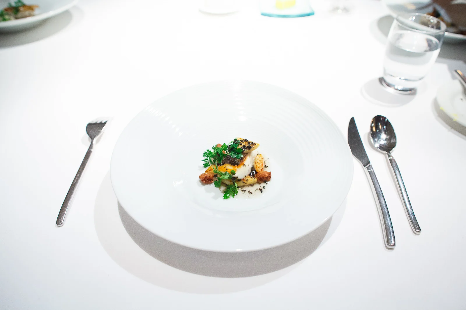 14th Course: Sea bream, vegetable and bone marrow bouillon, arti