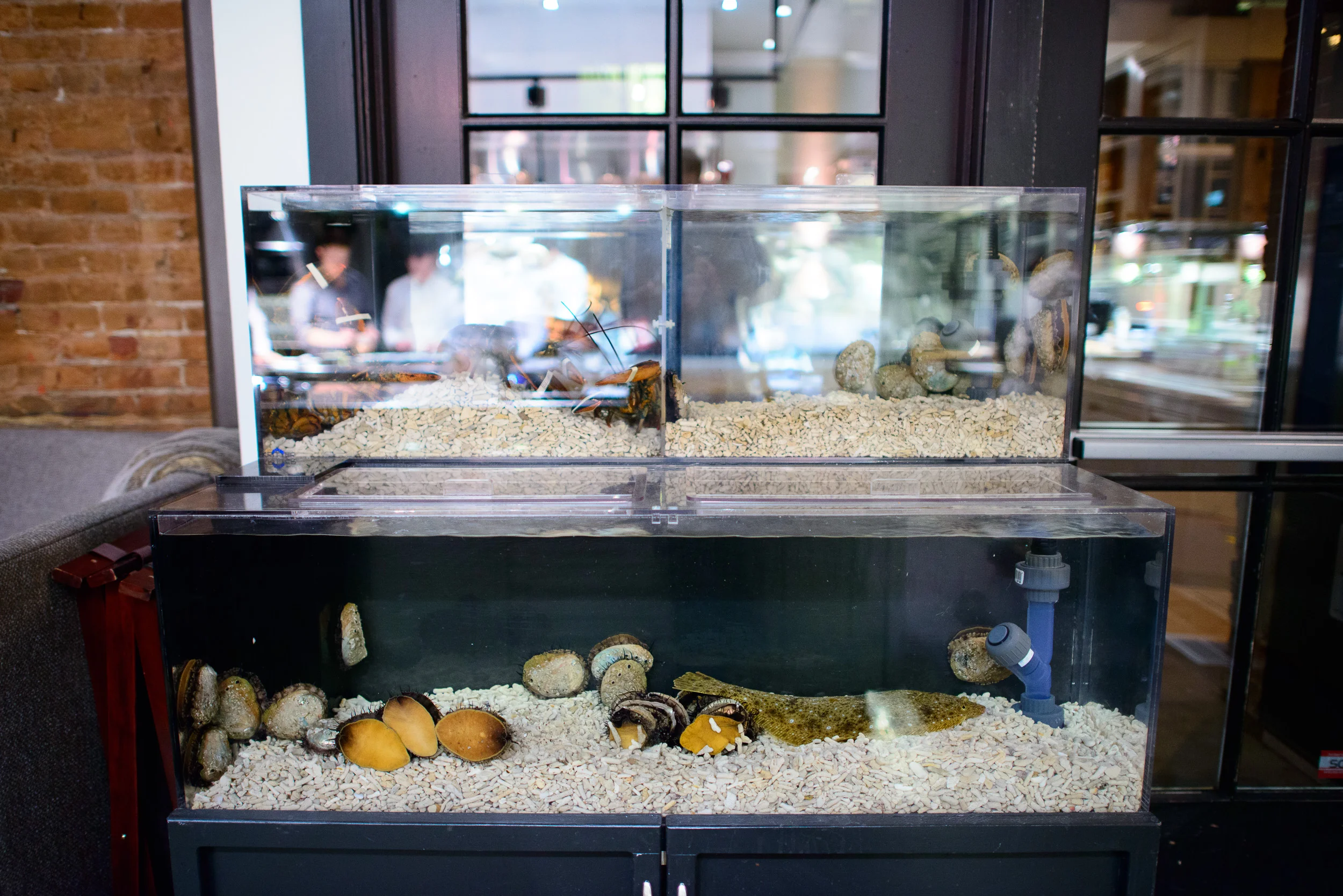 Saison, San Francisco