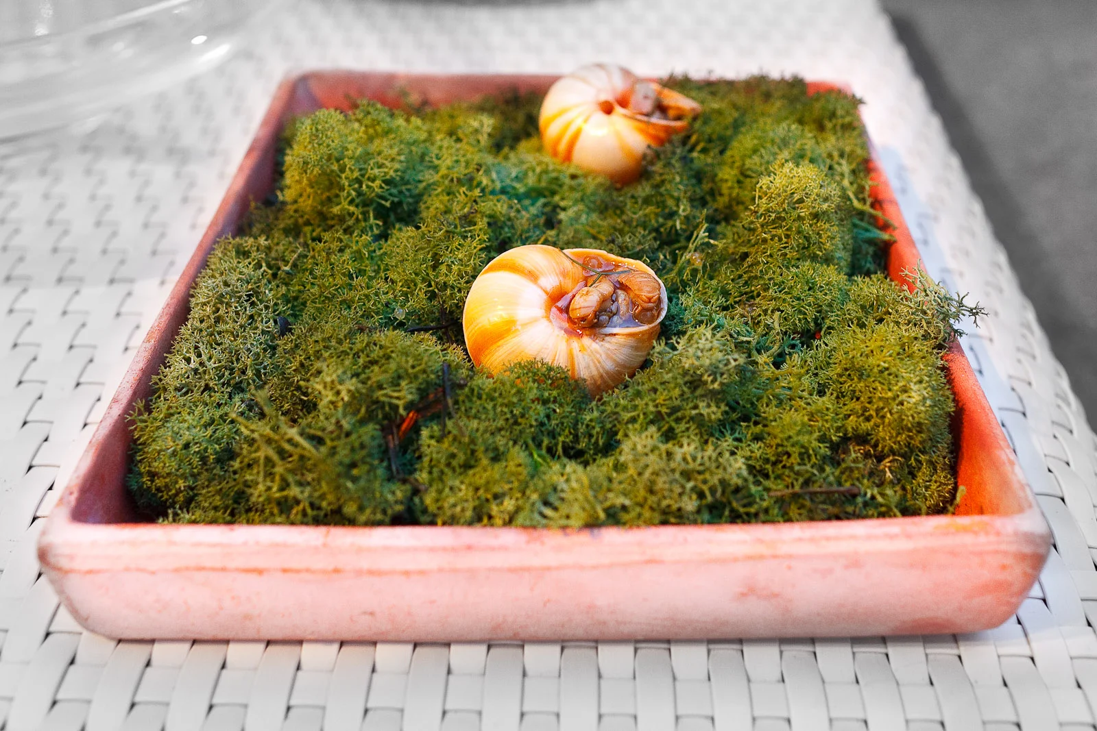 Amuse bouche: snails filled with caviar of cooking juices