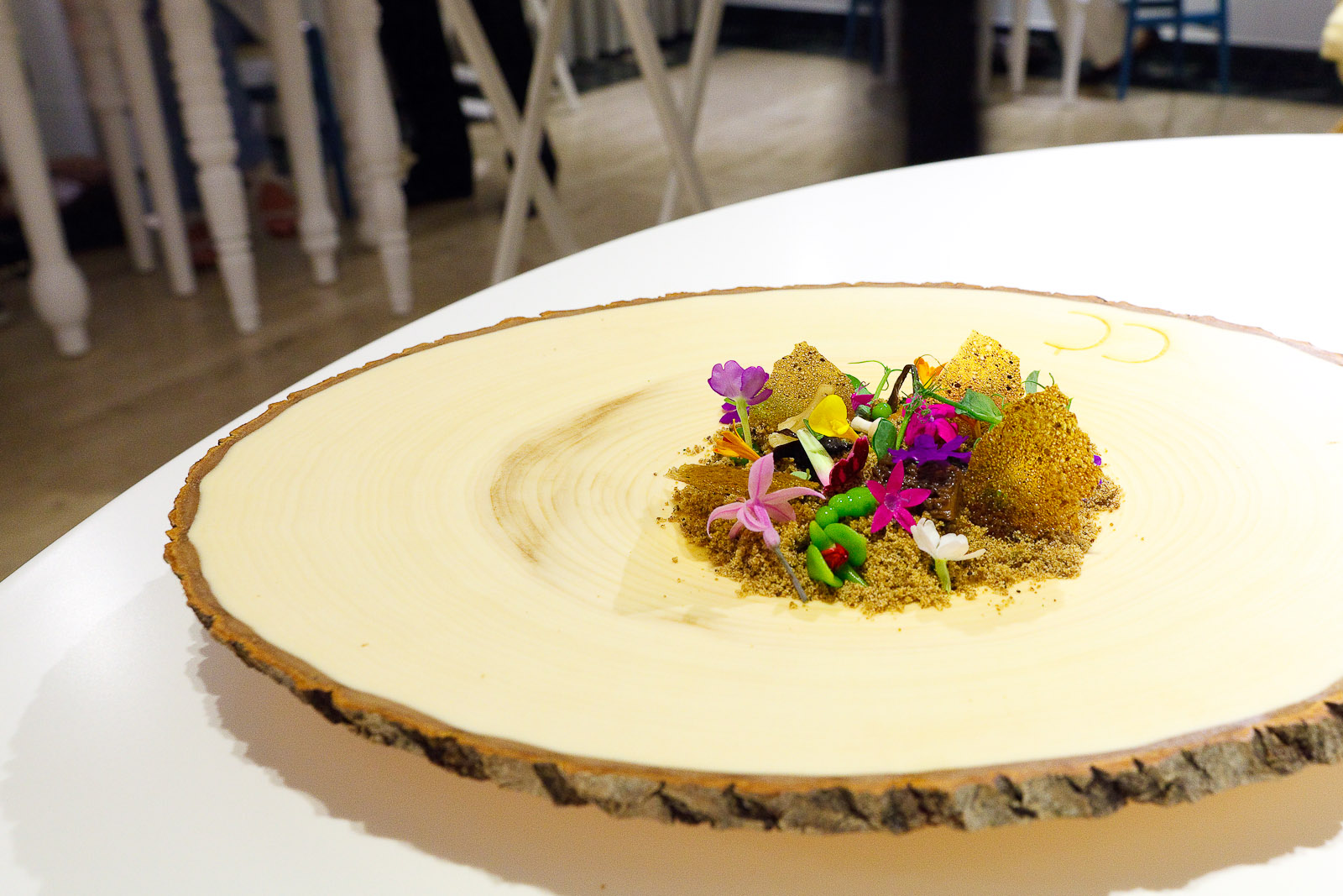 5th Course: The Living Forest
