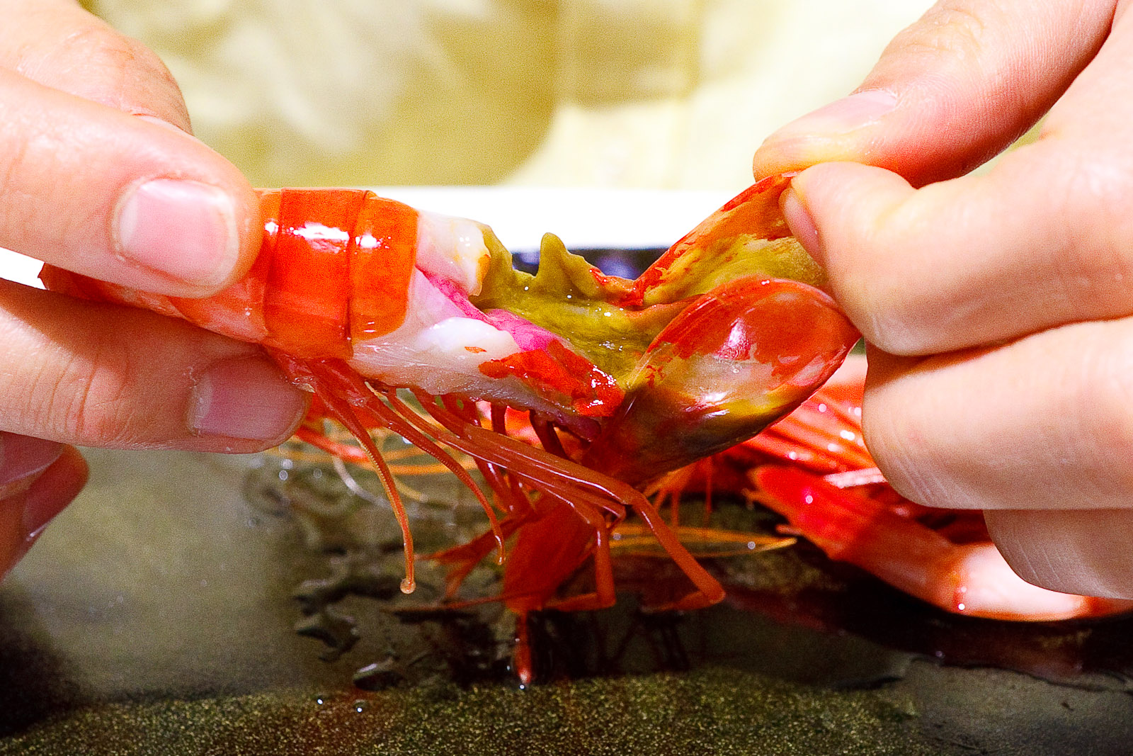7th Course_ Denia bay prawns, inside colors of red and green.jpg