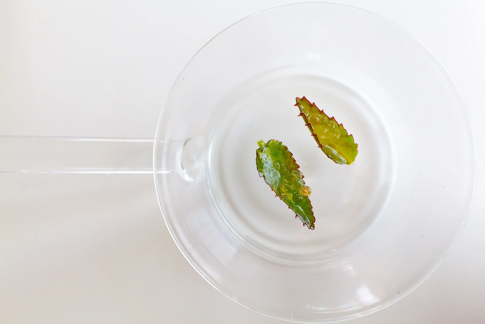 Amuse bouche: Pickled Raïm of pastor