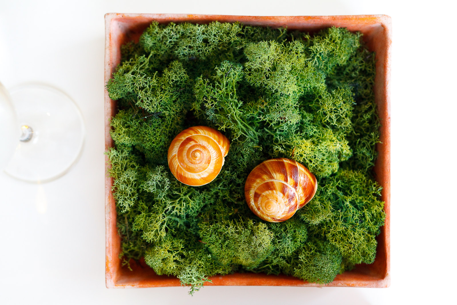 Amuse bouche: Snails filled with caviar from the juices in which they were cooked