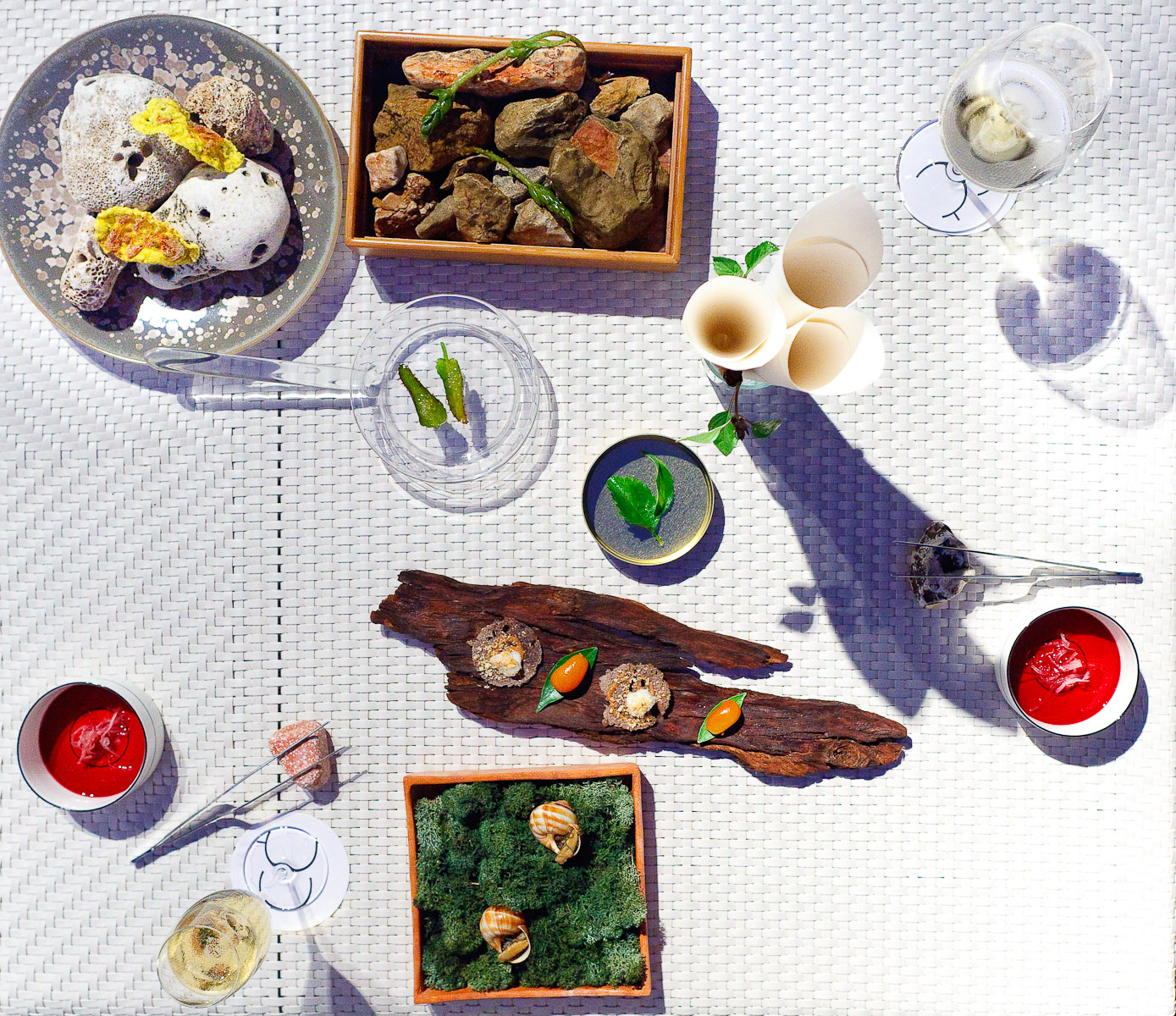 Amuse bouche: Cinnamon basil, Kalanchoe and oil, Cold tea, chicory and hibiscus, Pickled Raïm of pastor, Snail, Shrimp cake with Hazelnut oil, Kumquat with flying fish eggs