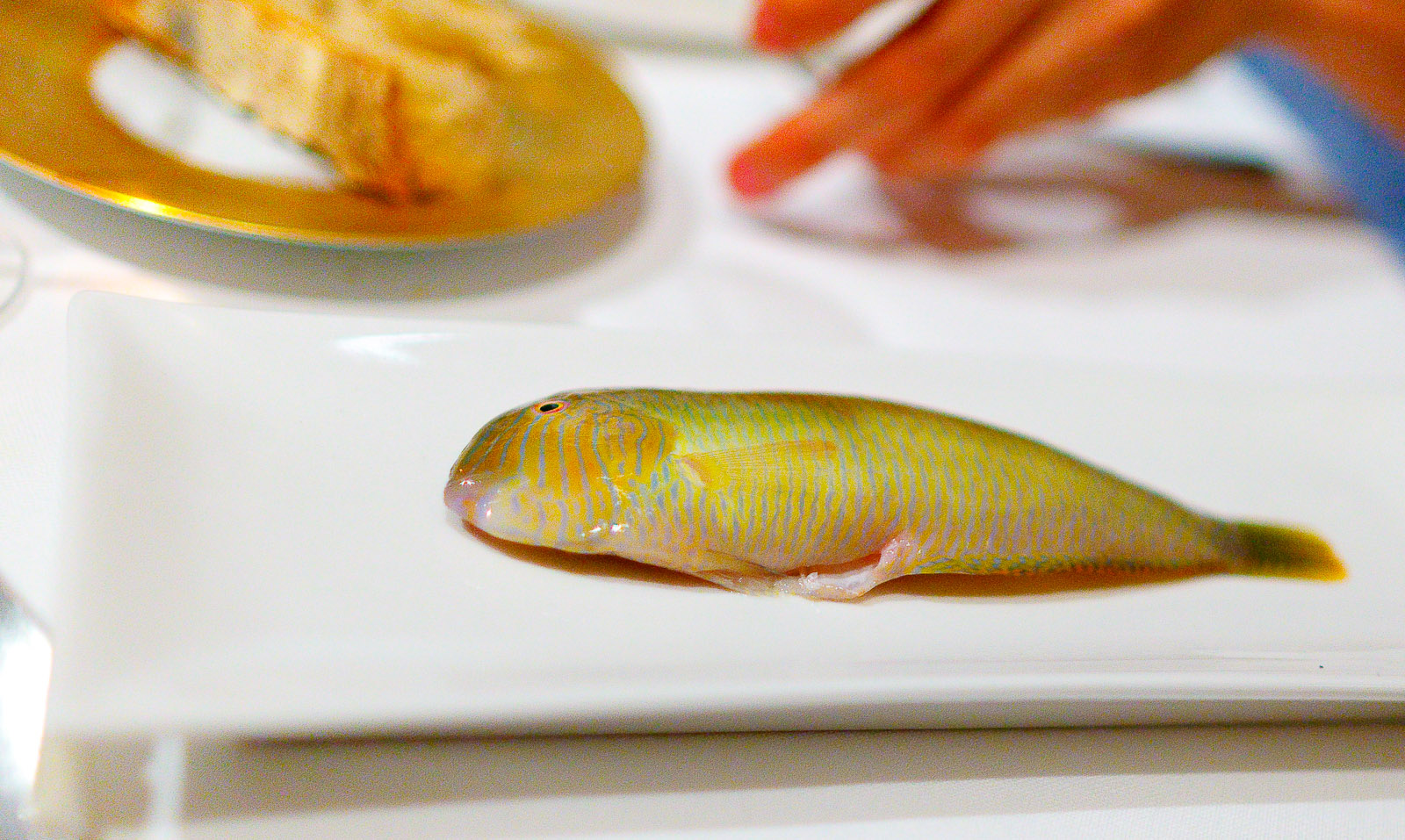 6th Course: Cleaver Wrasse 2011 - light curry, liquorice, beans, chayote