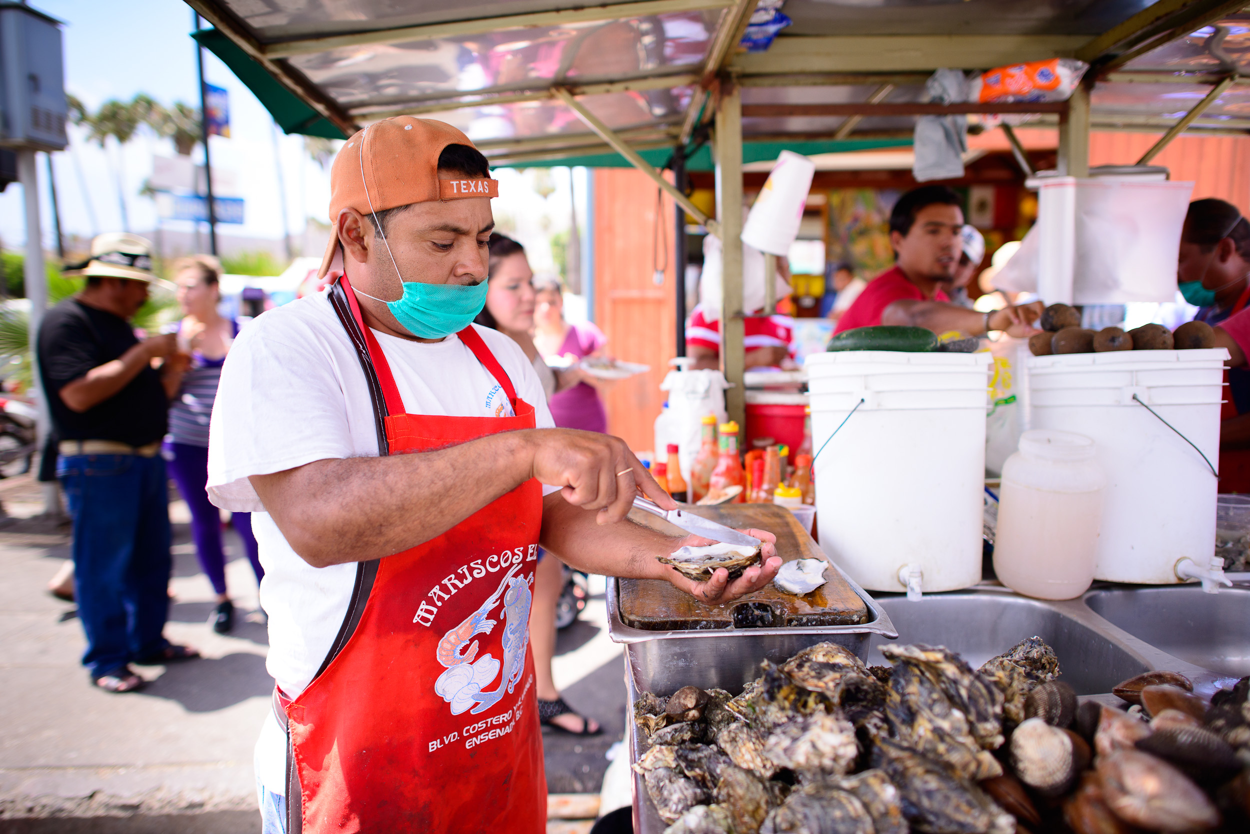 Shucking oysters from the Baja