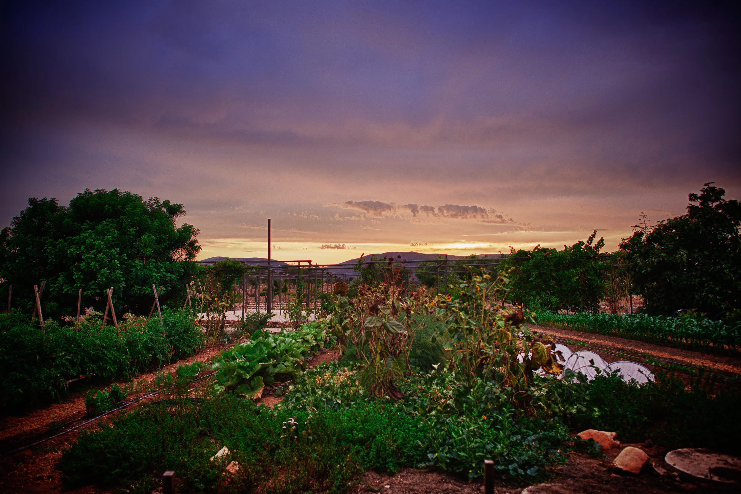 Sunset, Corazón de Tierra, 2012