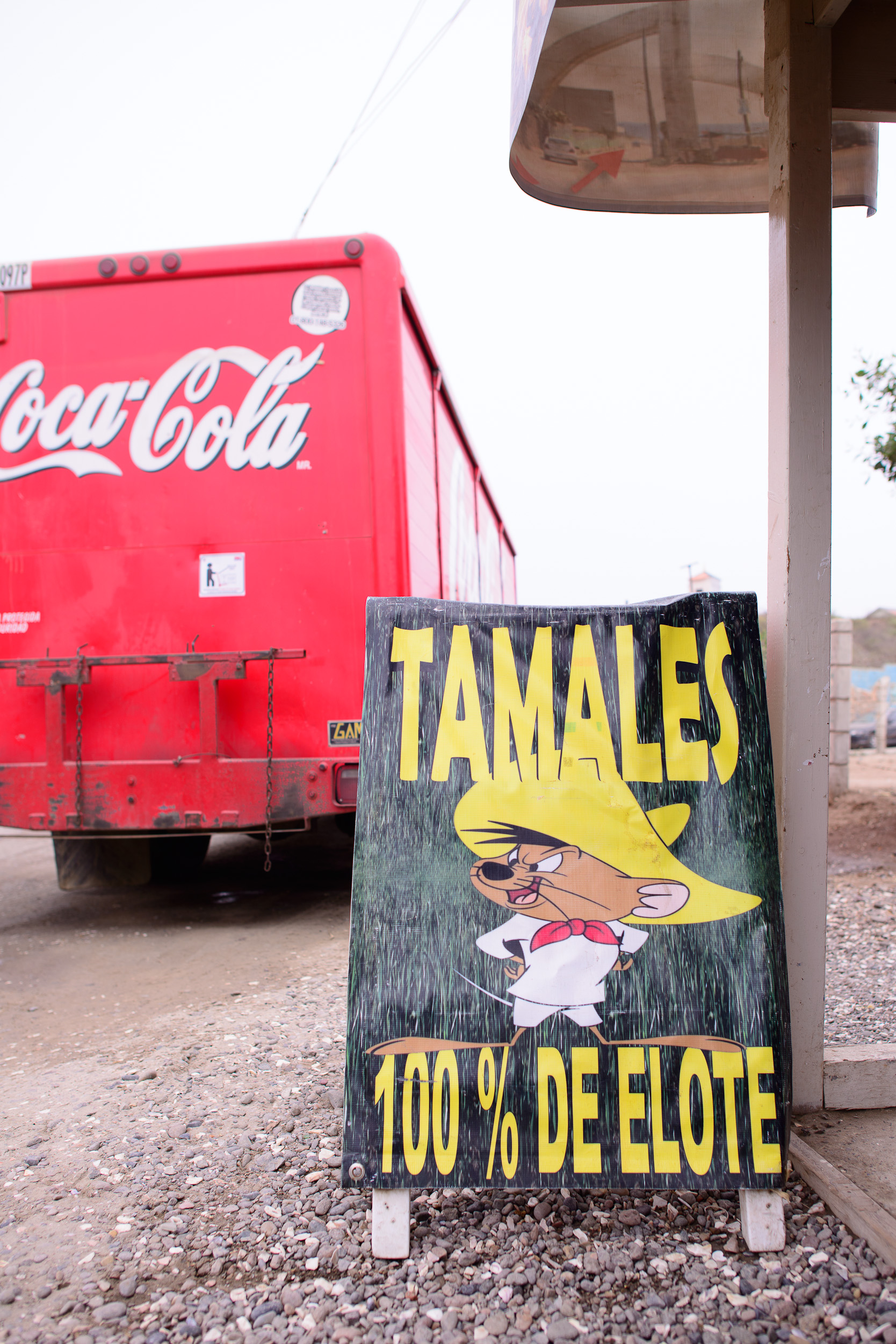 Tamales 100% de elote